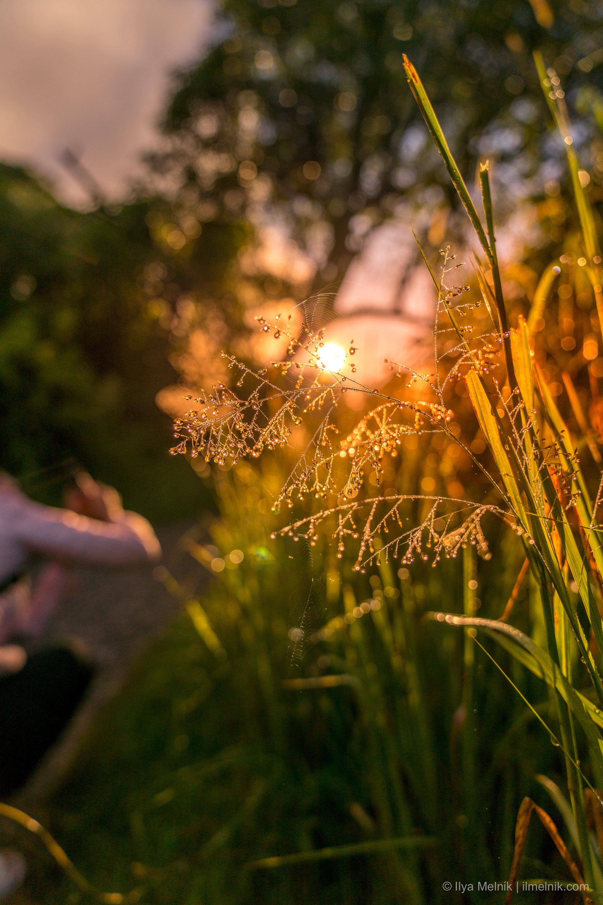 Zimbabwe. Ilya Melnik Photography