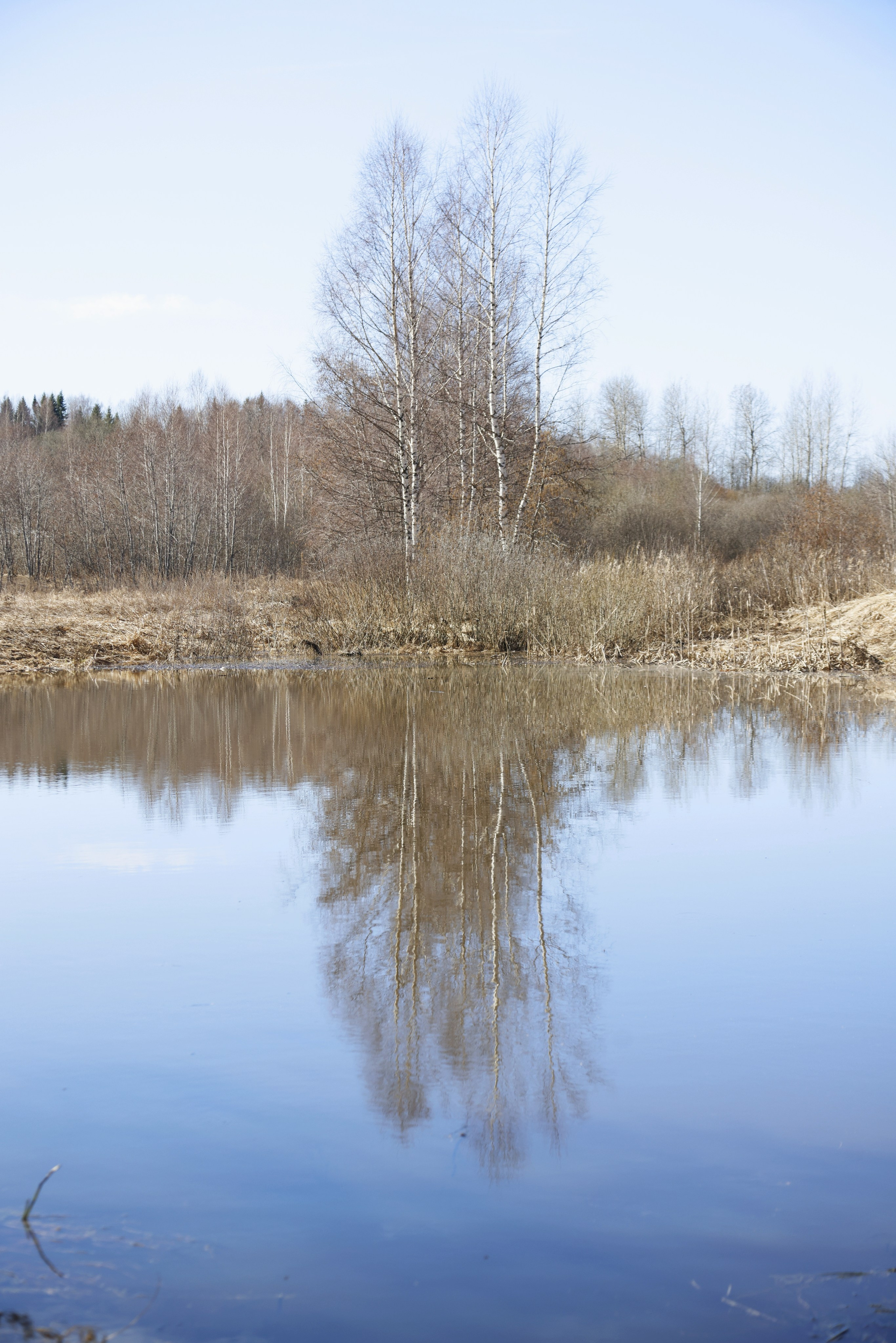 Природа. Фотохудожник BID