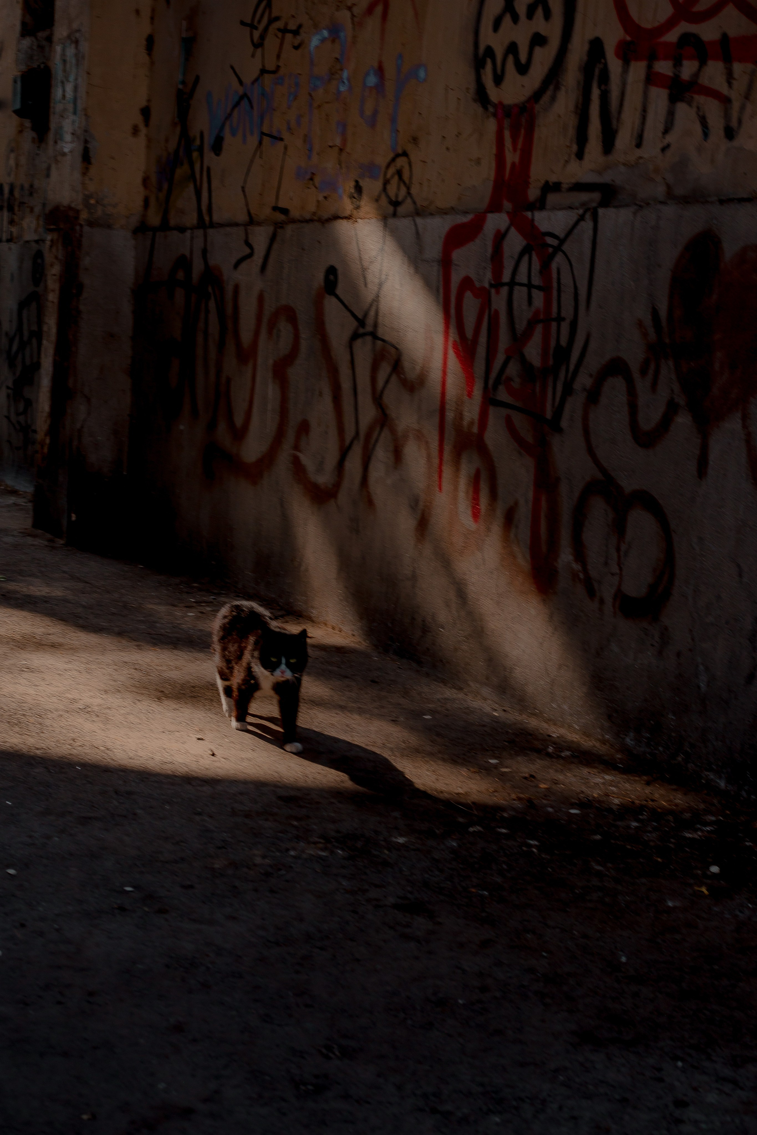 Georgia, Tbilisi 2024. Art Photographer