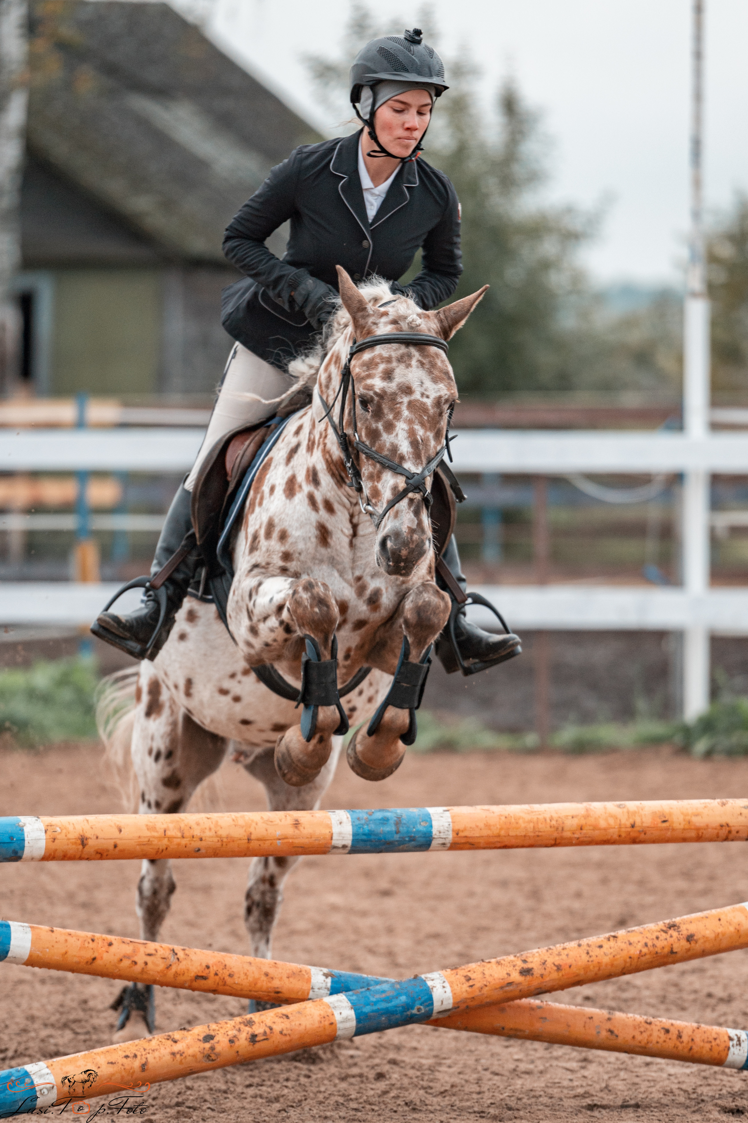 Конкур в КК «Резвая» — 10 лет. Конный и фотограф с животными в Твери Топталова Люся