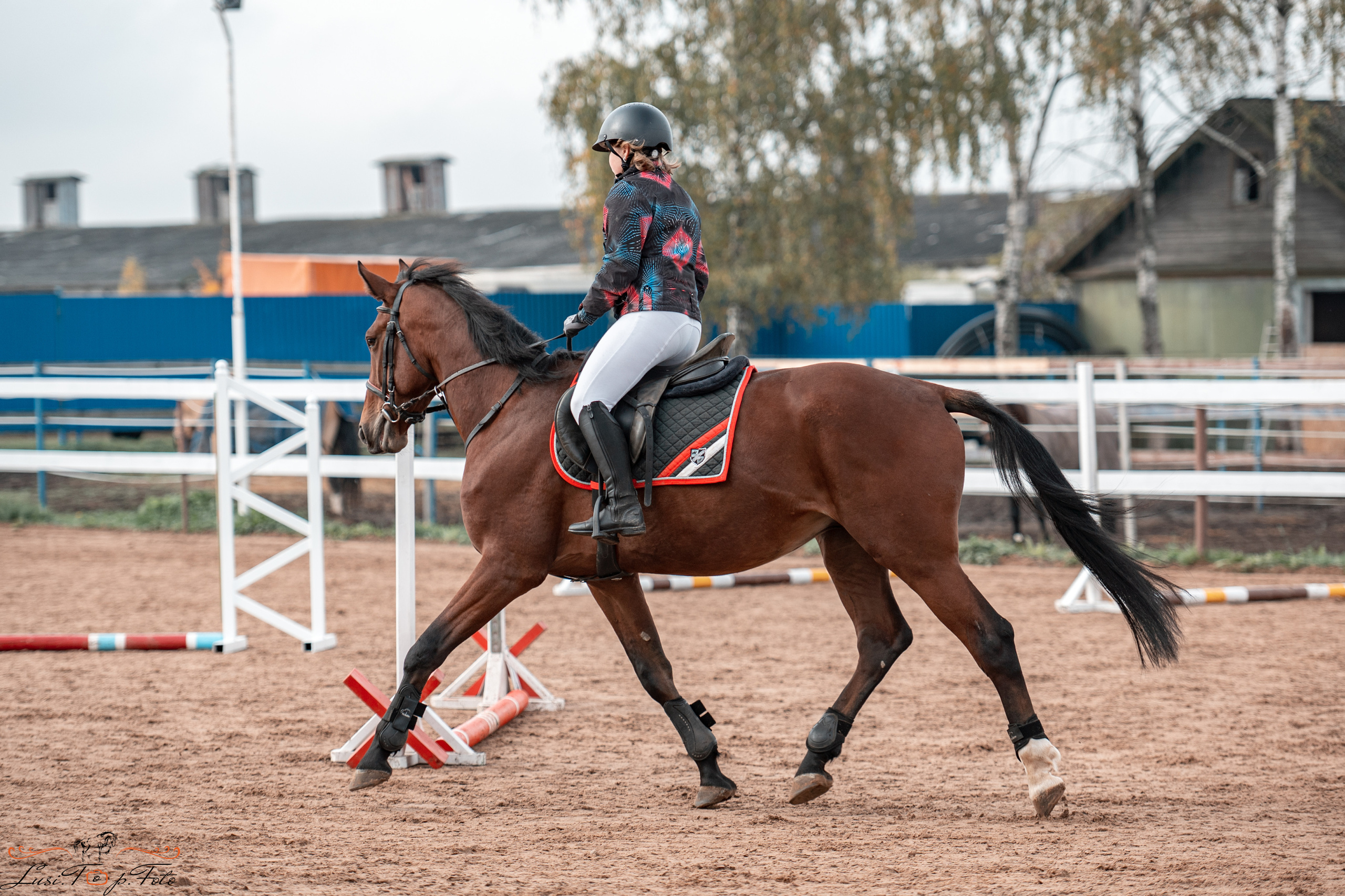 Конкур в КК «Резвая» — 10 лет. Конный и фотограф с животными в Твери Топталова Люся