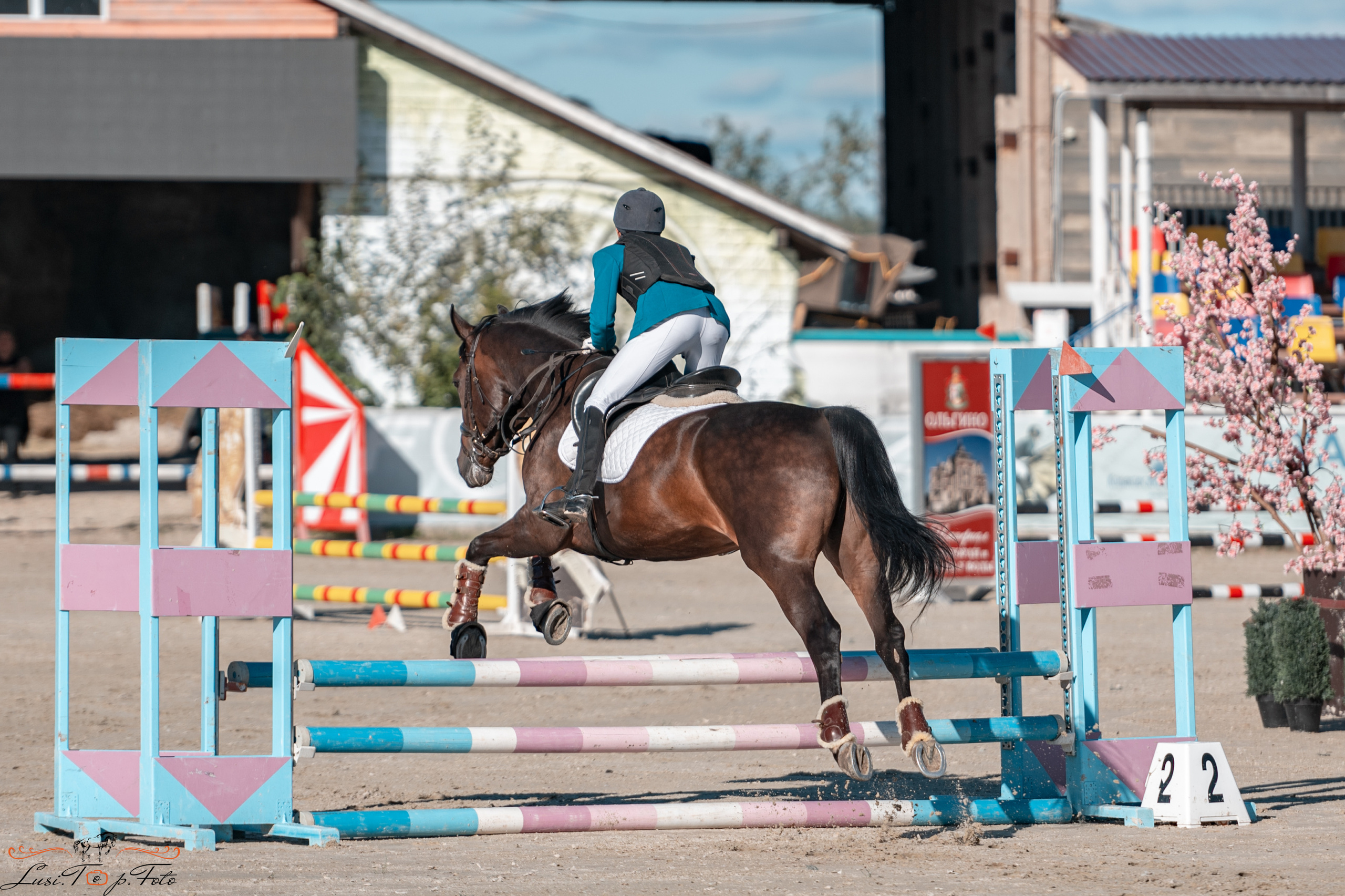 Конкур в Конаковских Конюшнях. Конный и фотограф с животными в Твери Топталова Люся