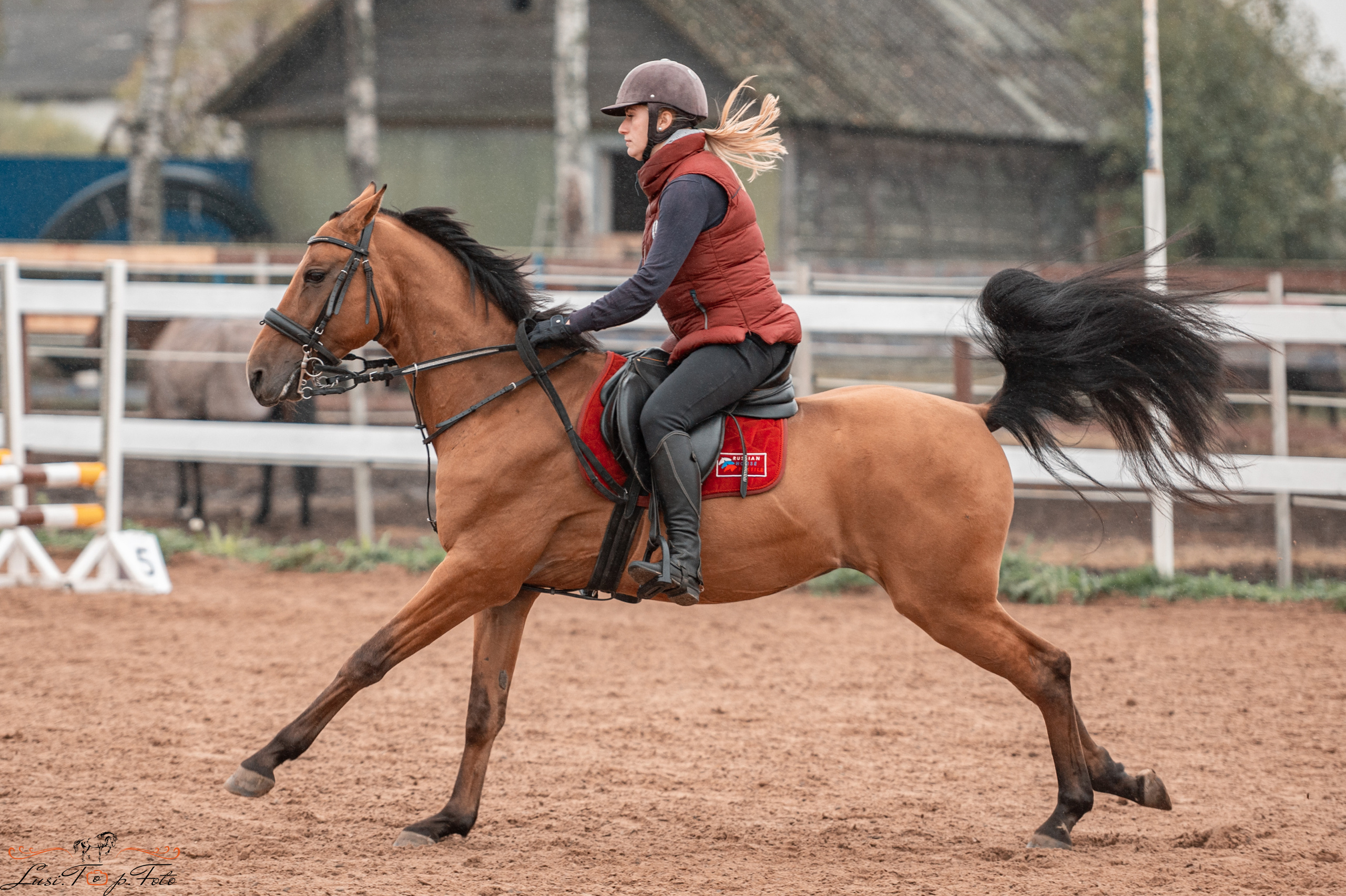 Конкур в КК «Резвая» — 10 лет. Конный и фотограф с животными в Твери Топталова Люся