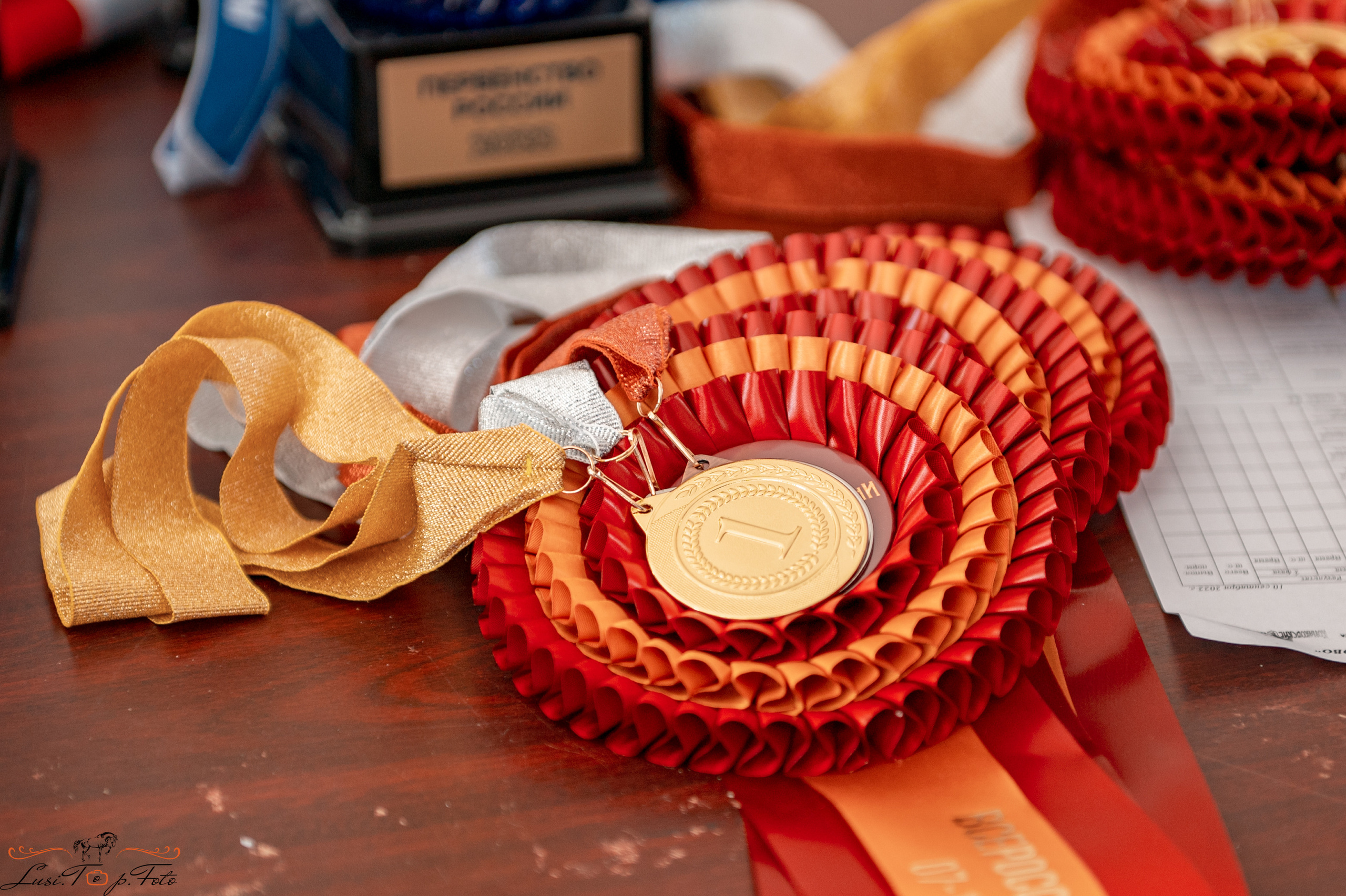 Конкур в Конаковских Конюшнях. Конный и фотограф с животными в Твери Топталова Люся