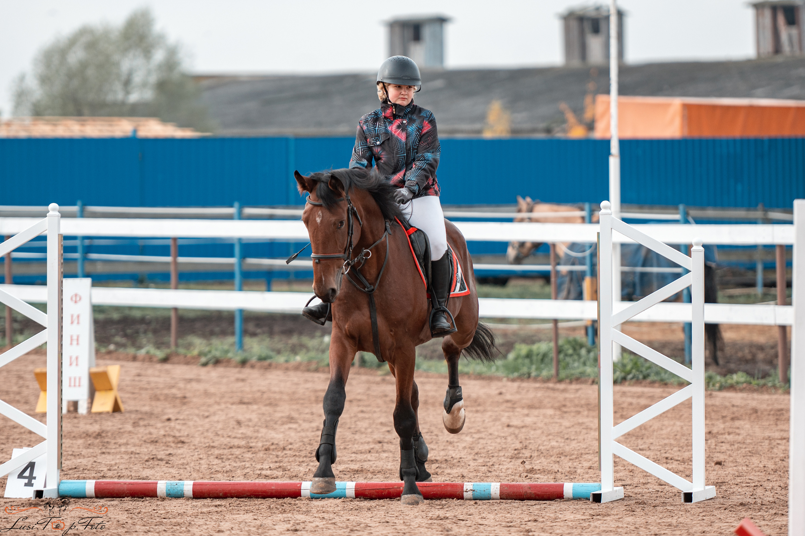 Конкур в КК «Резвая» — 10 лет. Конный и фотограф с животными в Твери Топталова Люся