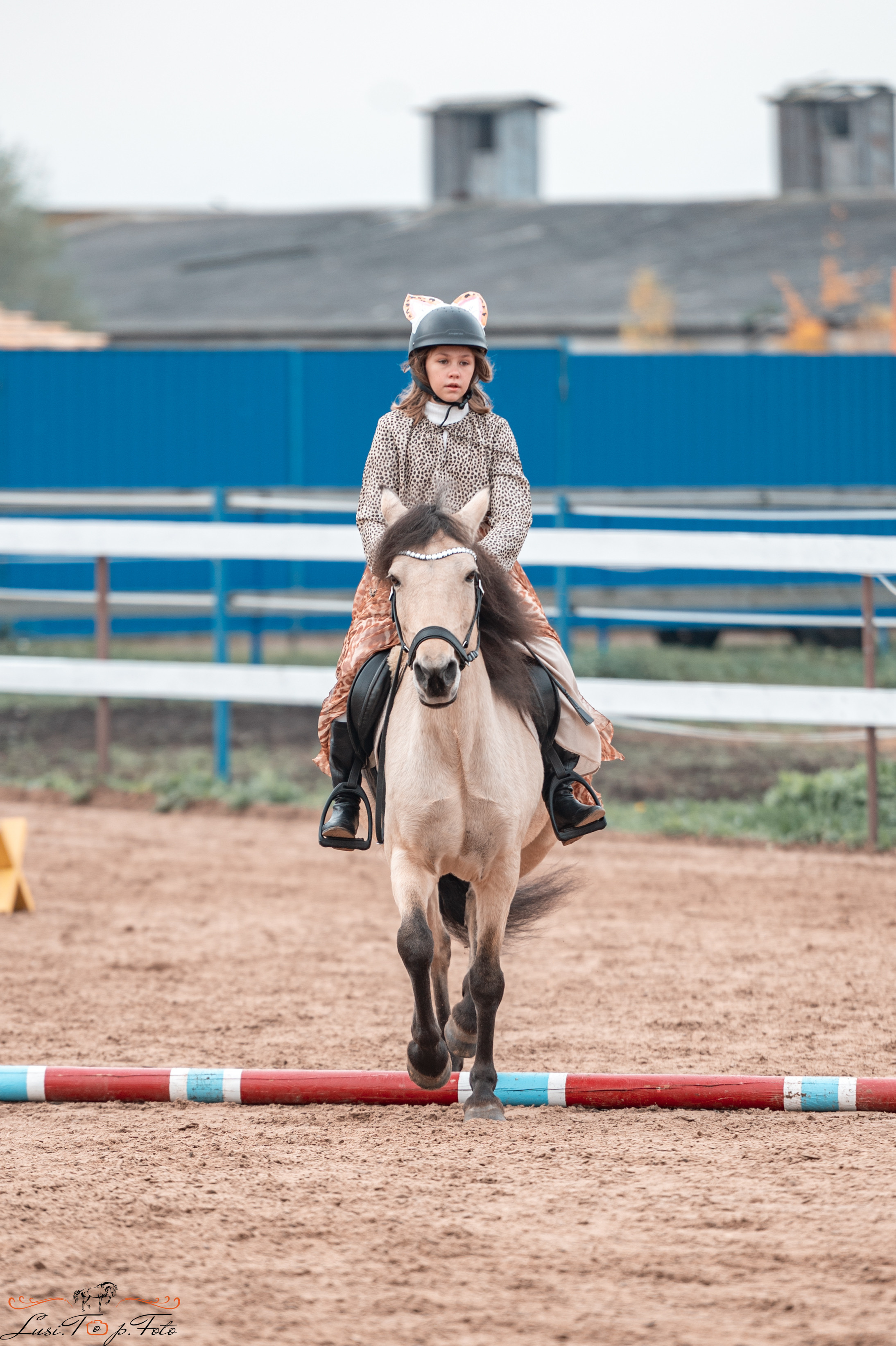 Конкур в КК «Резвая» — 10 лет. Конный и фотограф с животными в Твери Топталова Люся