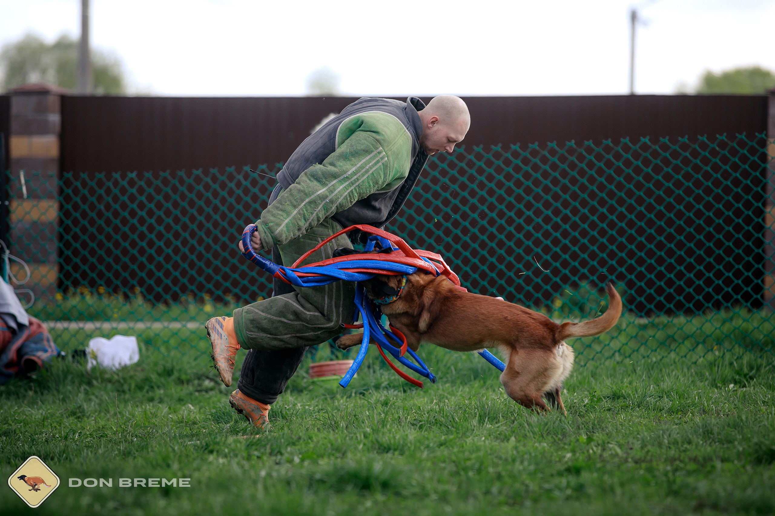 Семинар для фигурантов, день 2. Фотограф-анималист Mary Mart — Москва, Питер