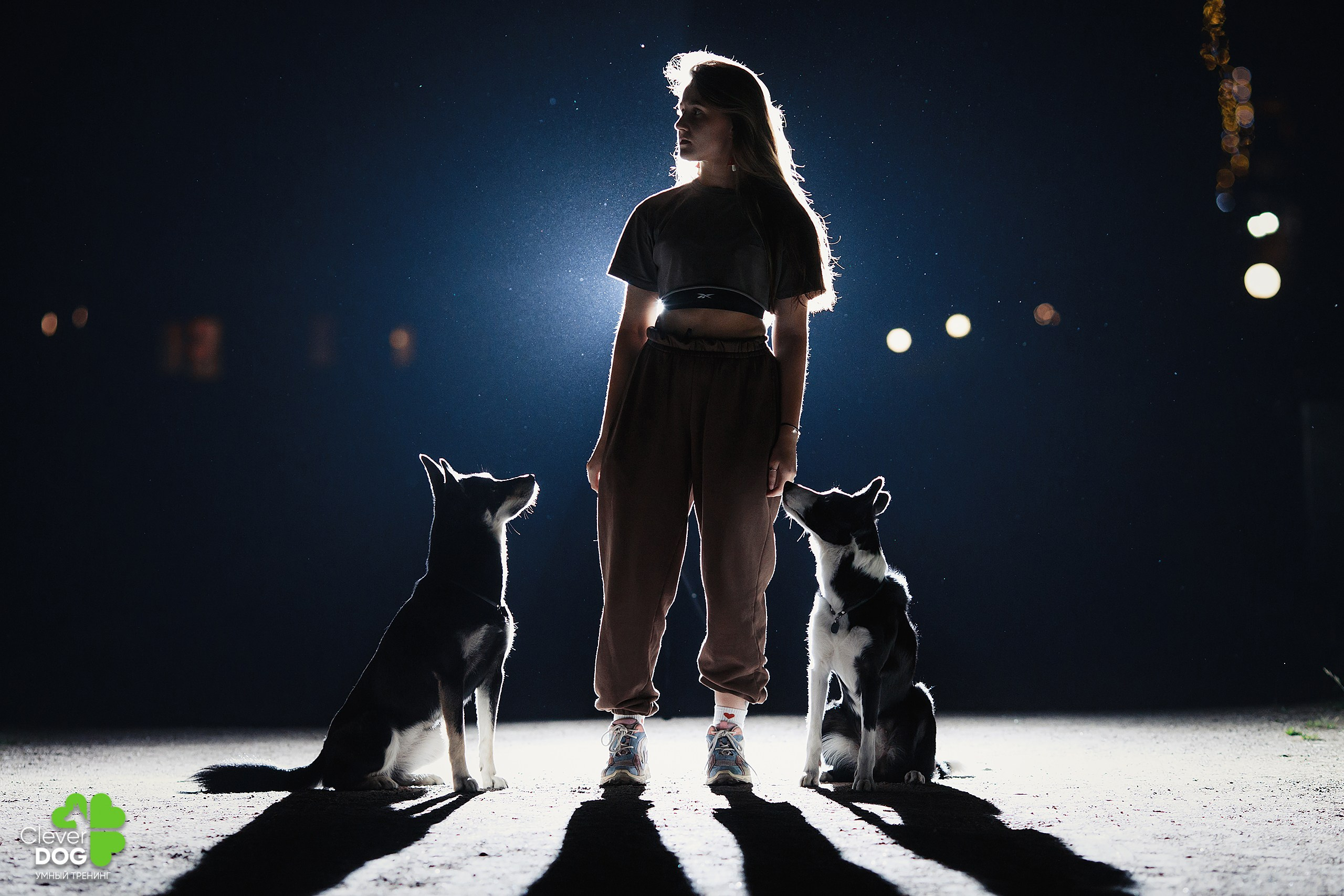 Кинологический лагерь CleverDog, 2024. Фотограф-анималист Mary Mart — Москва, Питер