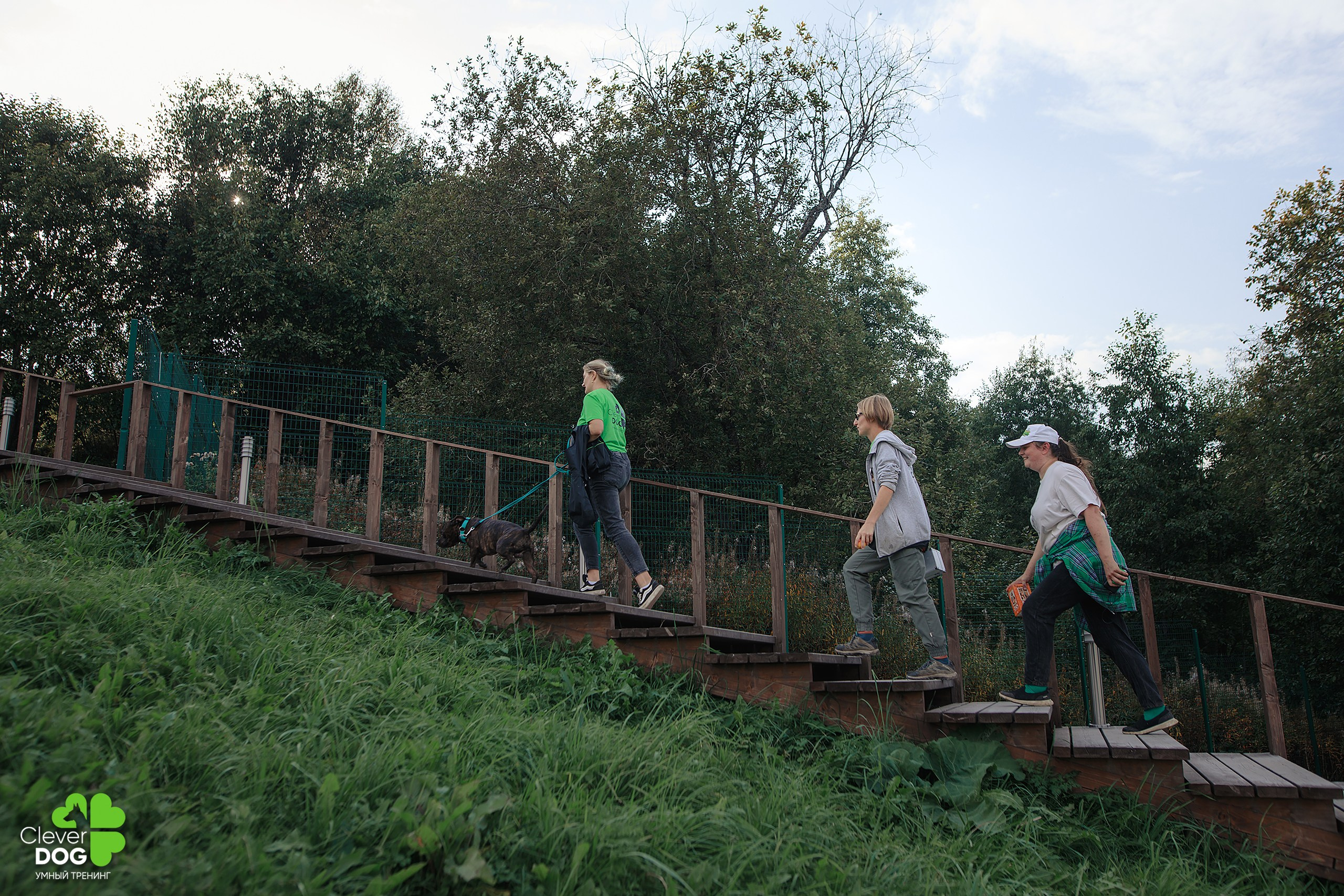Кинологический лагерь CleverDog, 2024. Фотограф-анималист Mary Mart — Москва, Питер