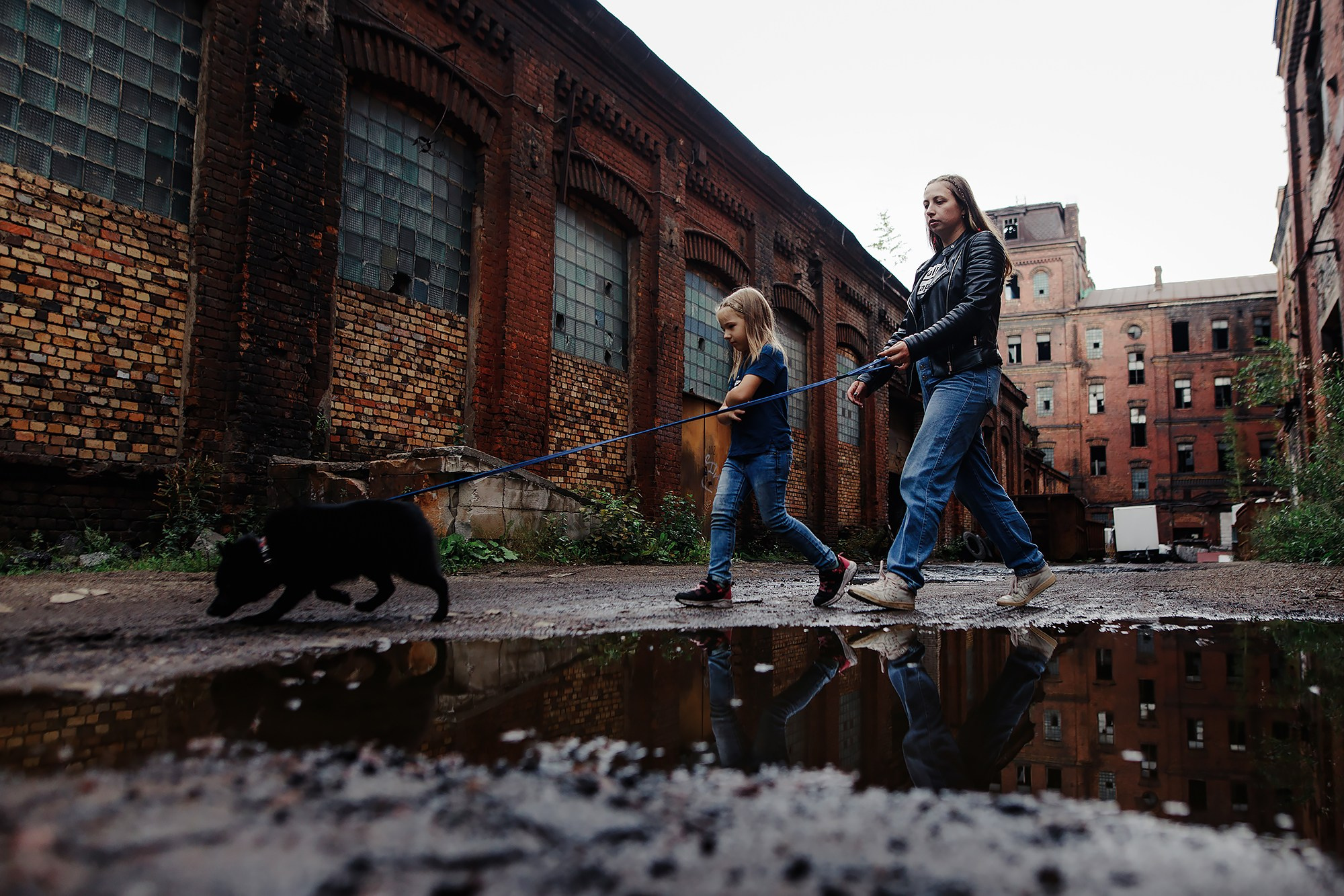 Саша, Маша и шипперке Йети. Фотограф-анималист Mary Mart — Москва, Питер