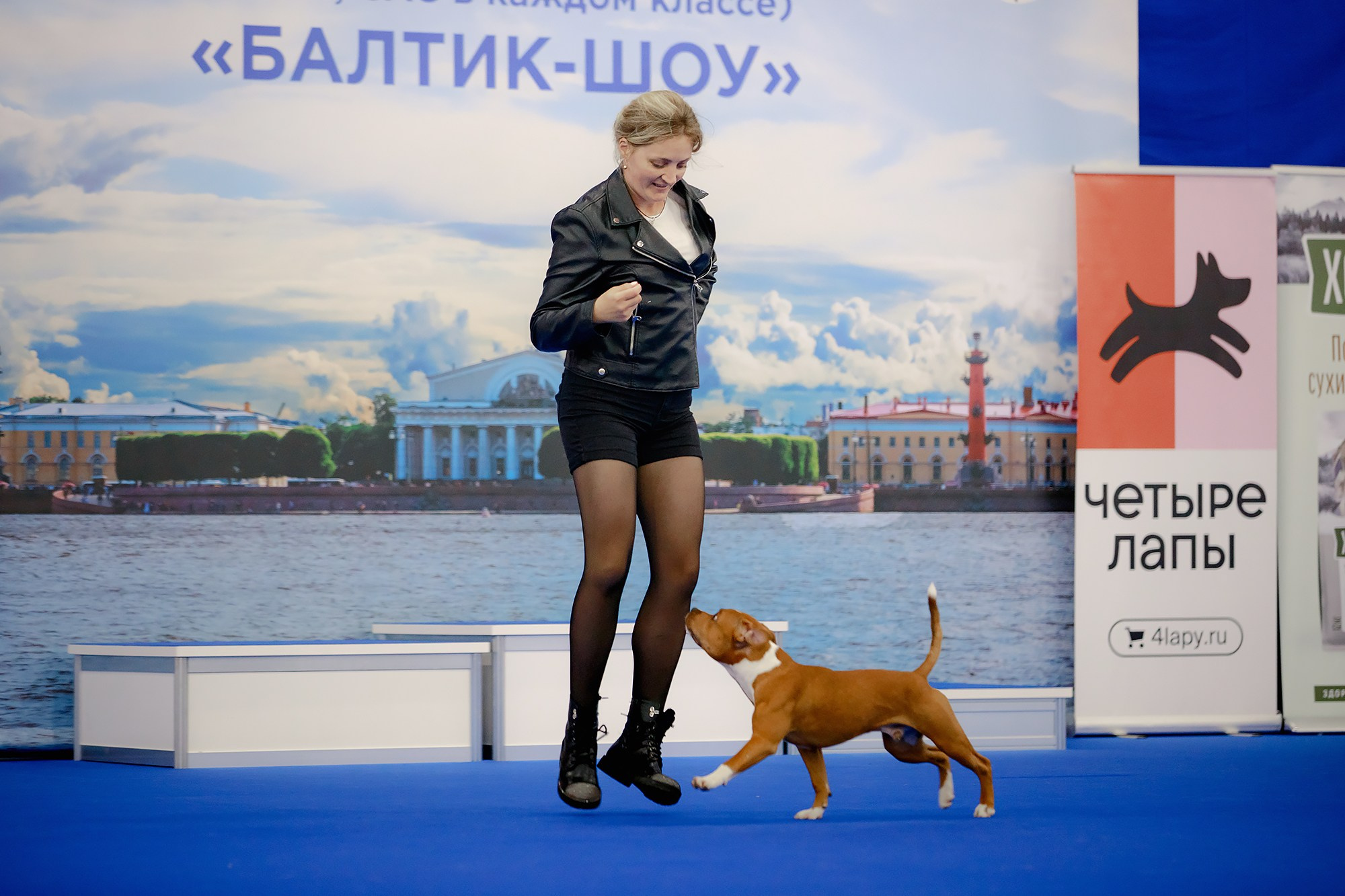 Танцы на выставке «Зоошоу», СПб. Фотограф-анималист Mary Mart — Москва, Питер