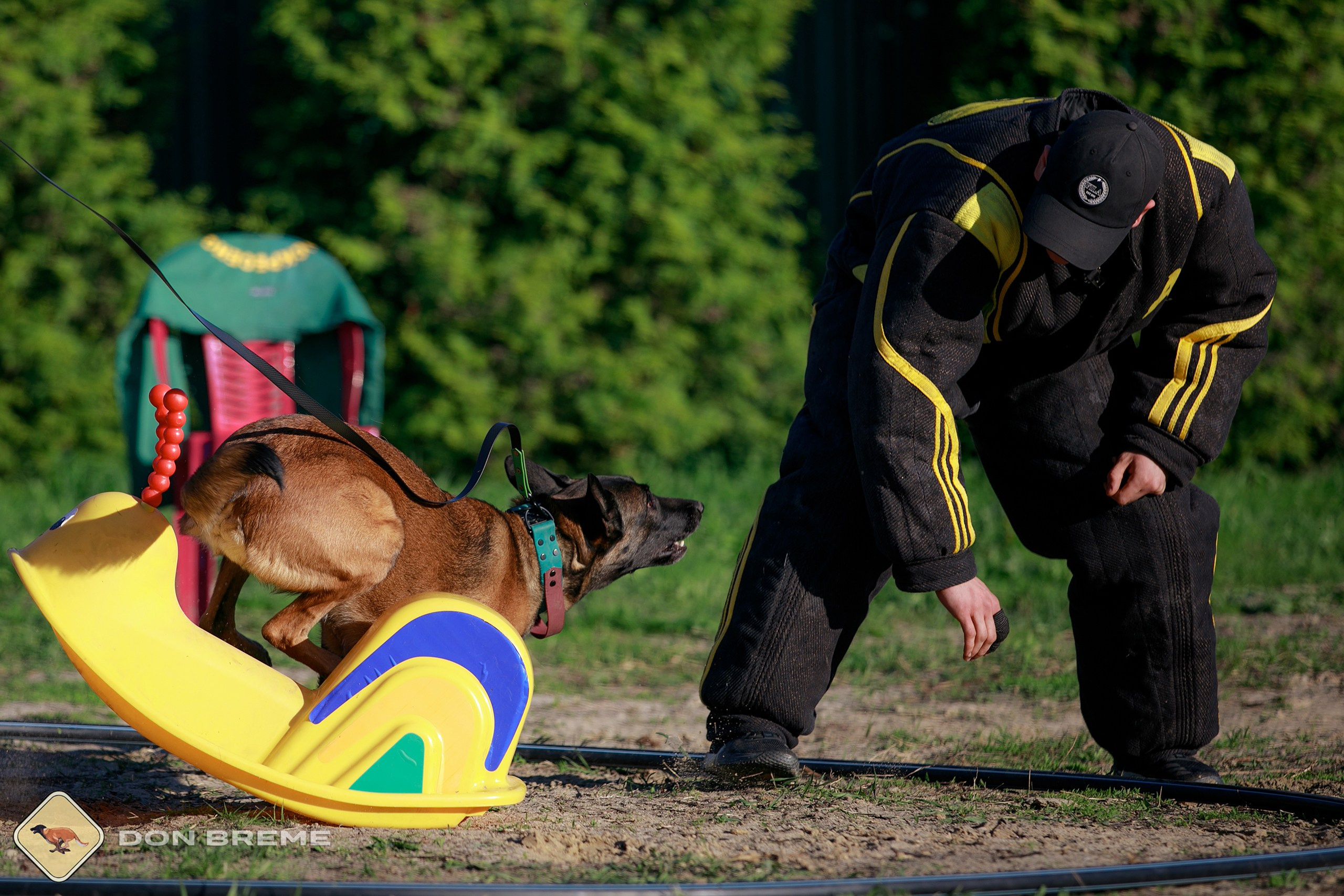 Семинар для фигурантов, день 3. Фотограф-анималист Mary Mart — Москва, Питер