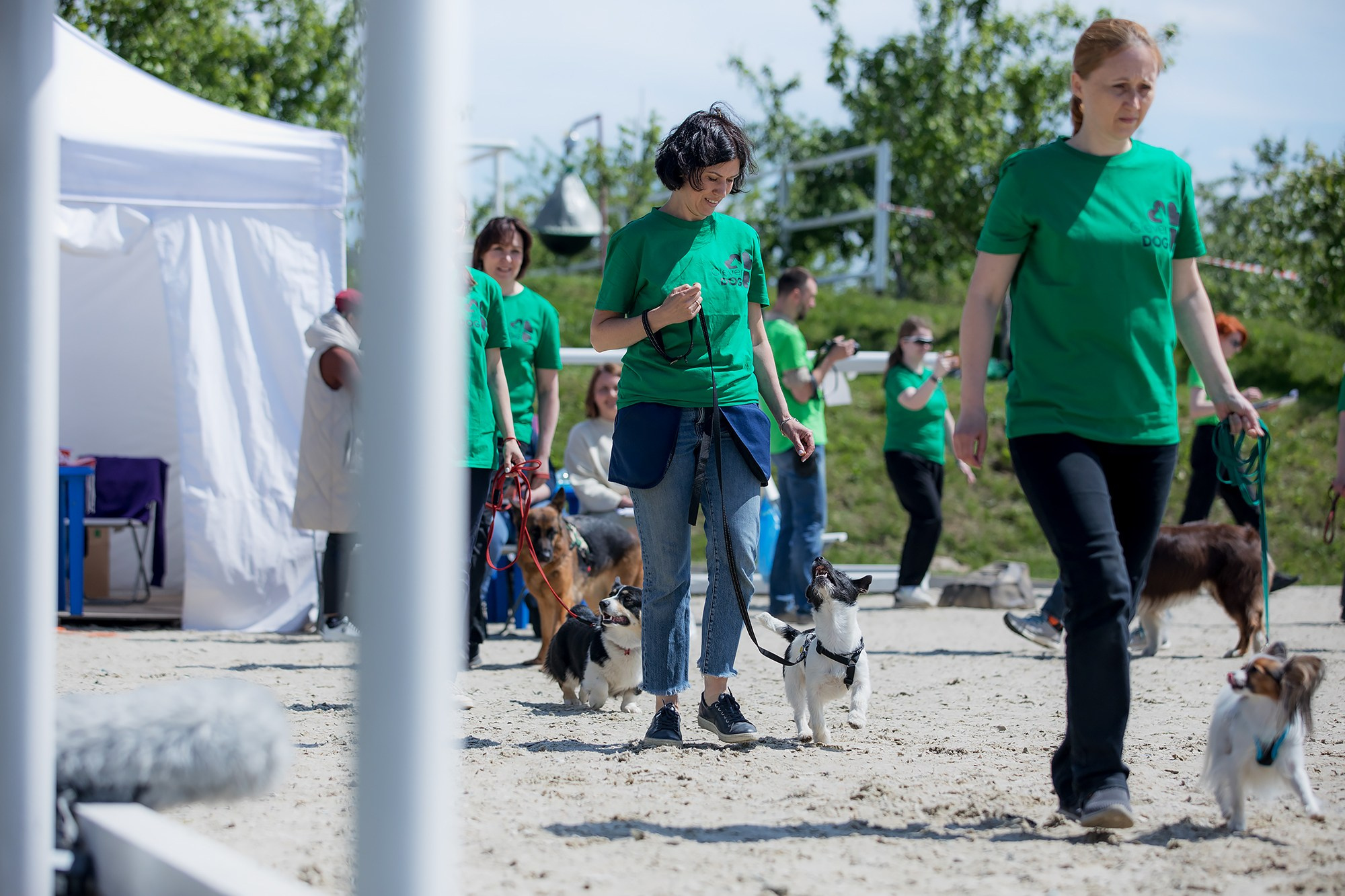 Показательные выступления по NoseWork на выставке «Россия». Фотограф-анималист Mary Mart — Москва, Питер