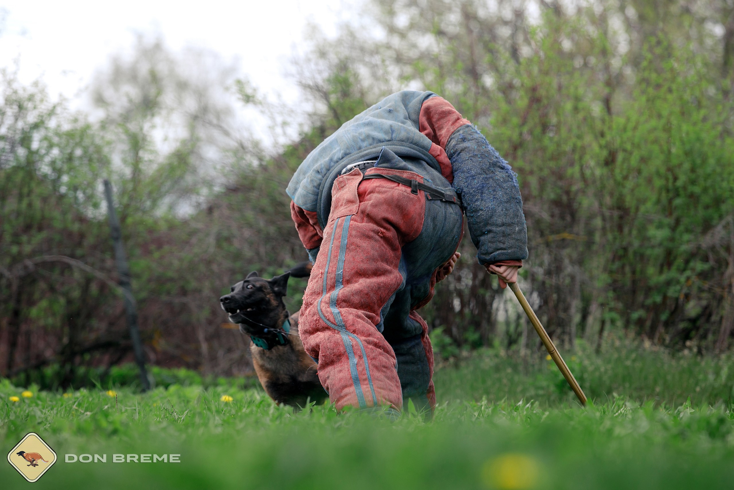 Семинар для фигурантов, день 2. Фотограф-анималист Mary Mart — Москва, Питер