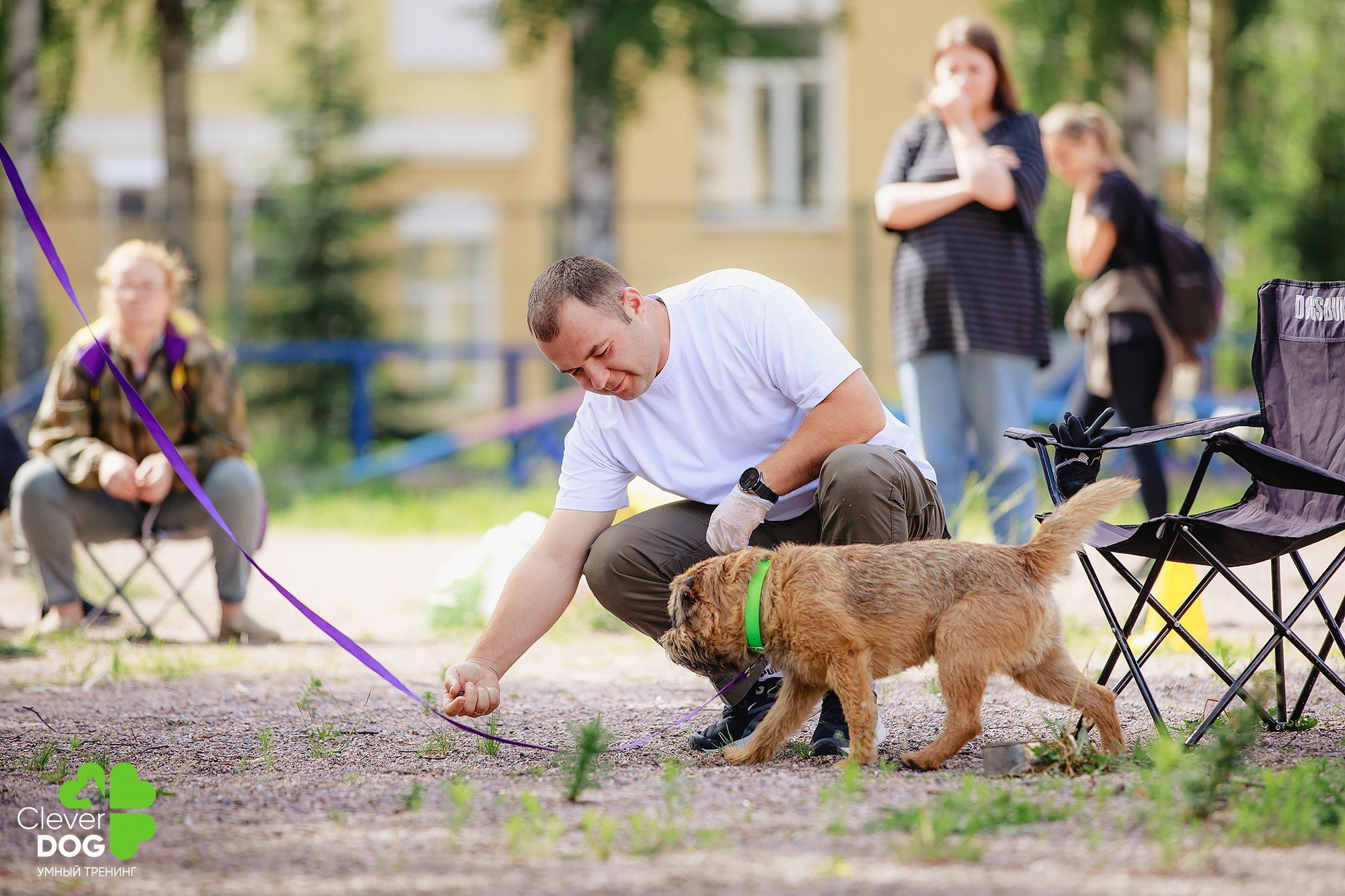 Семинар по поиску запаха с Иваном Ломовым, организатор CleverDog, СПб. Фотограф-анималист Mary Mart — Москва, Питер