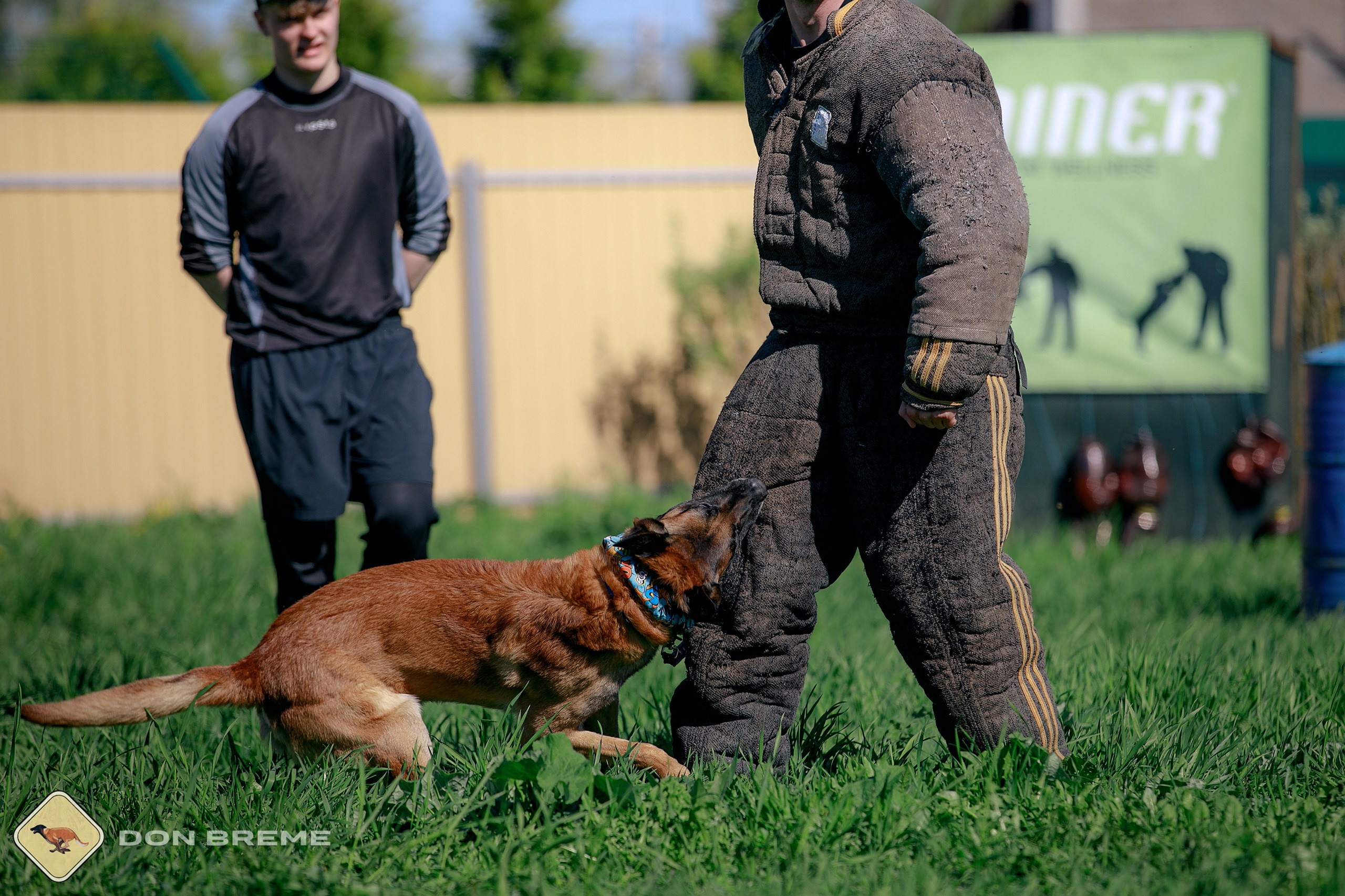 Семинар для фигурантов, день 3. Фотограф-анималист Mary Mart — Москва, Питер