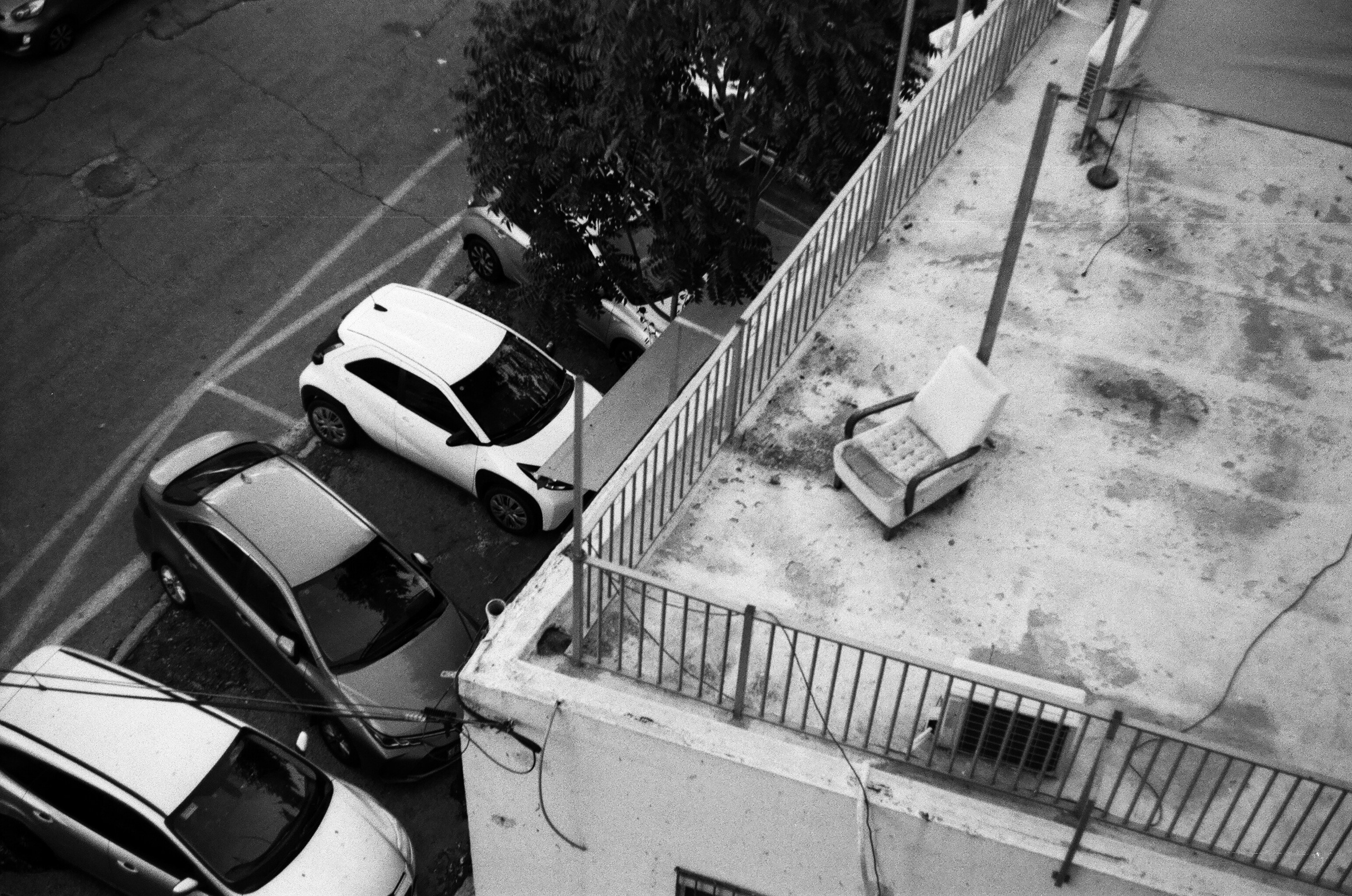 Israel 2025. Свадебный и портретный фотограф в Санкт-Петербурге