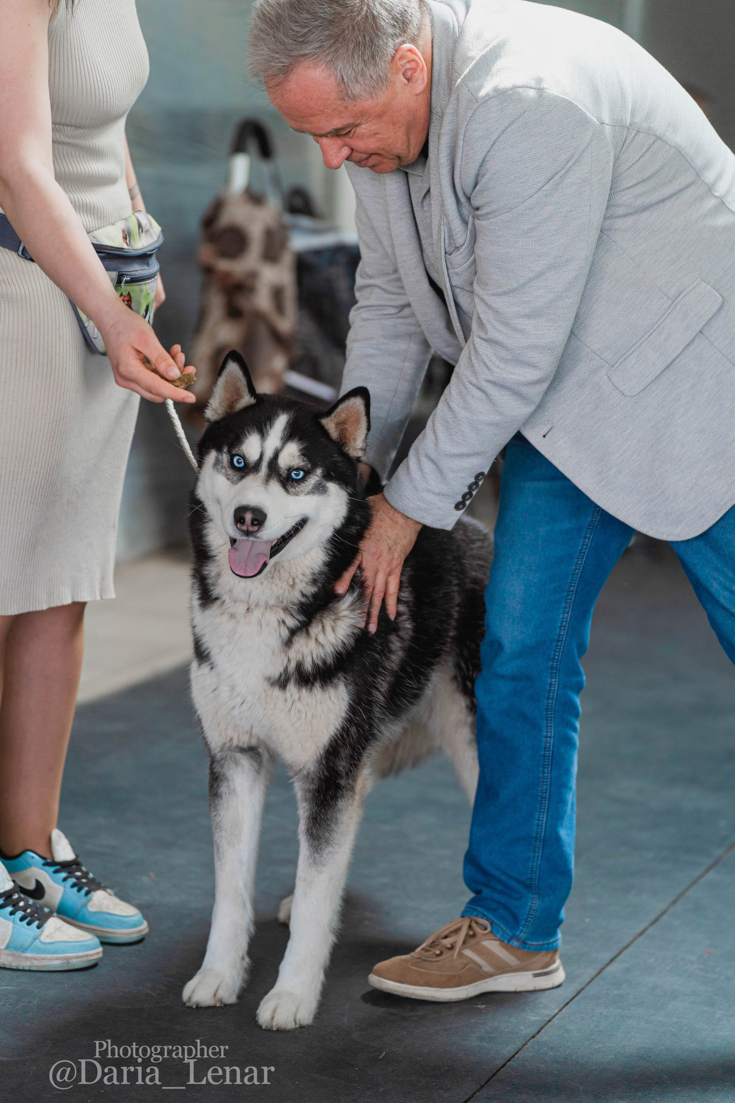 Выставки собак. Фотограф в Москве Ленарская Дарья
