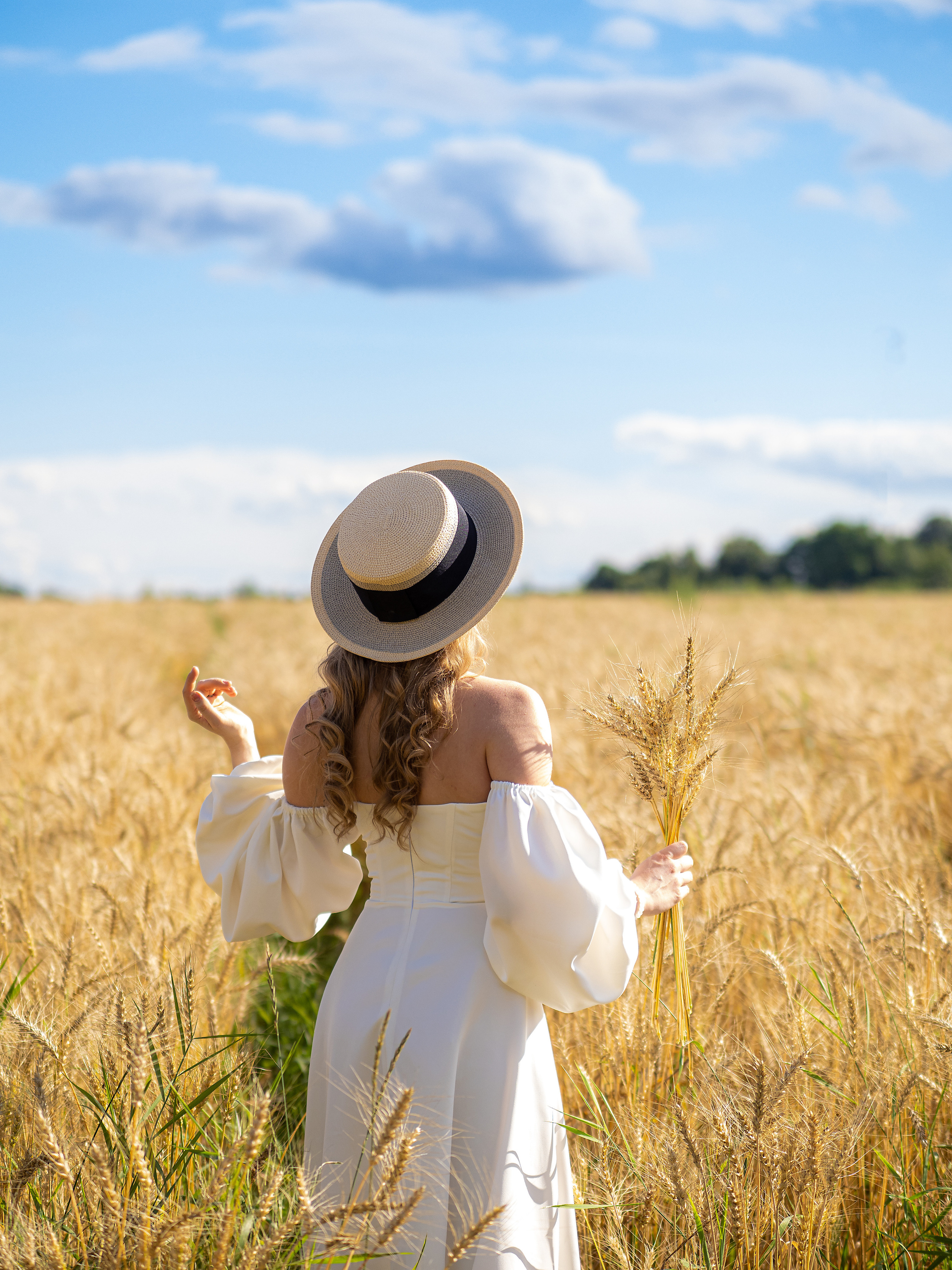 Пшеничное поле. Творческие сьемки