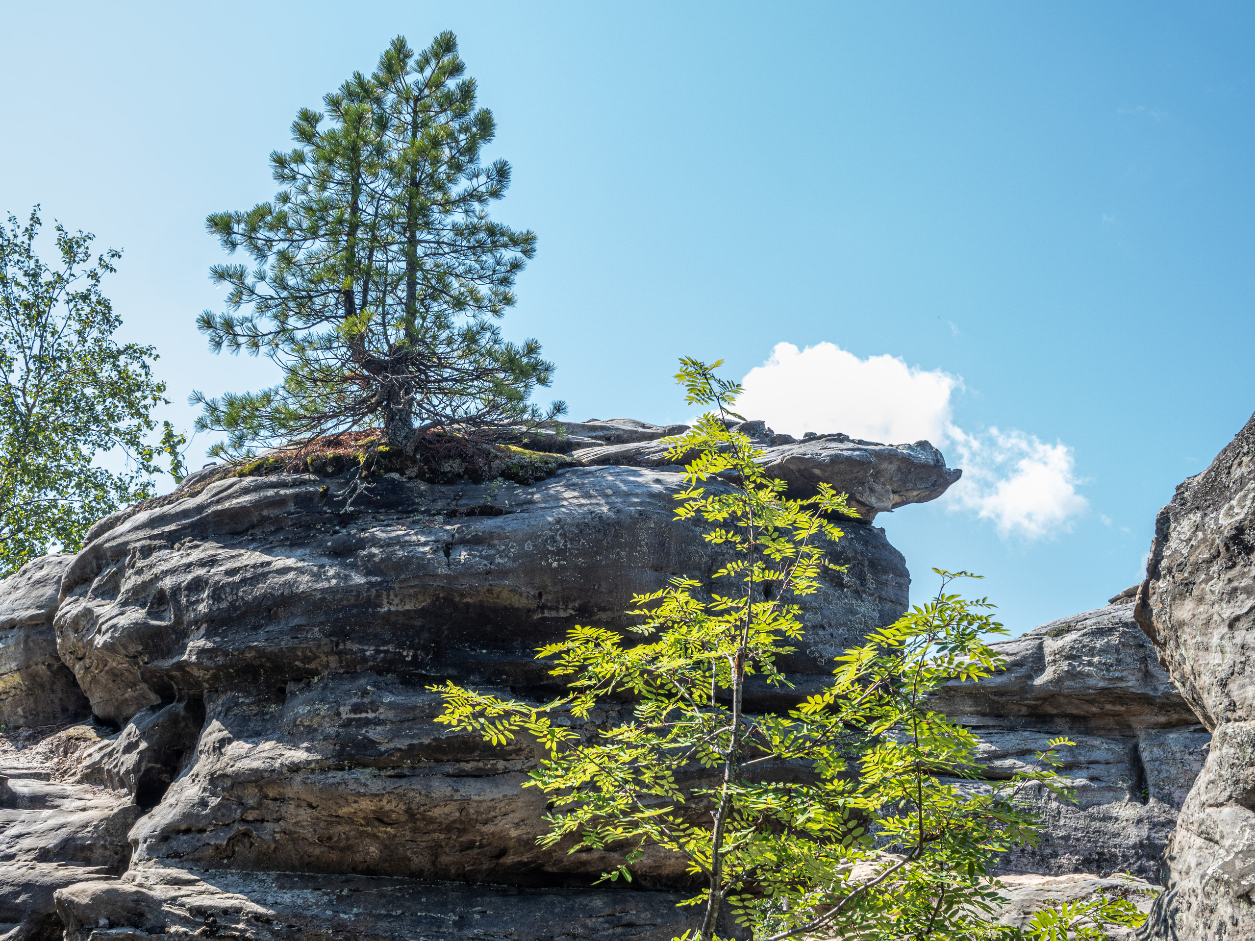 Каменный город, Пермь. Творческие сьемки