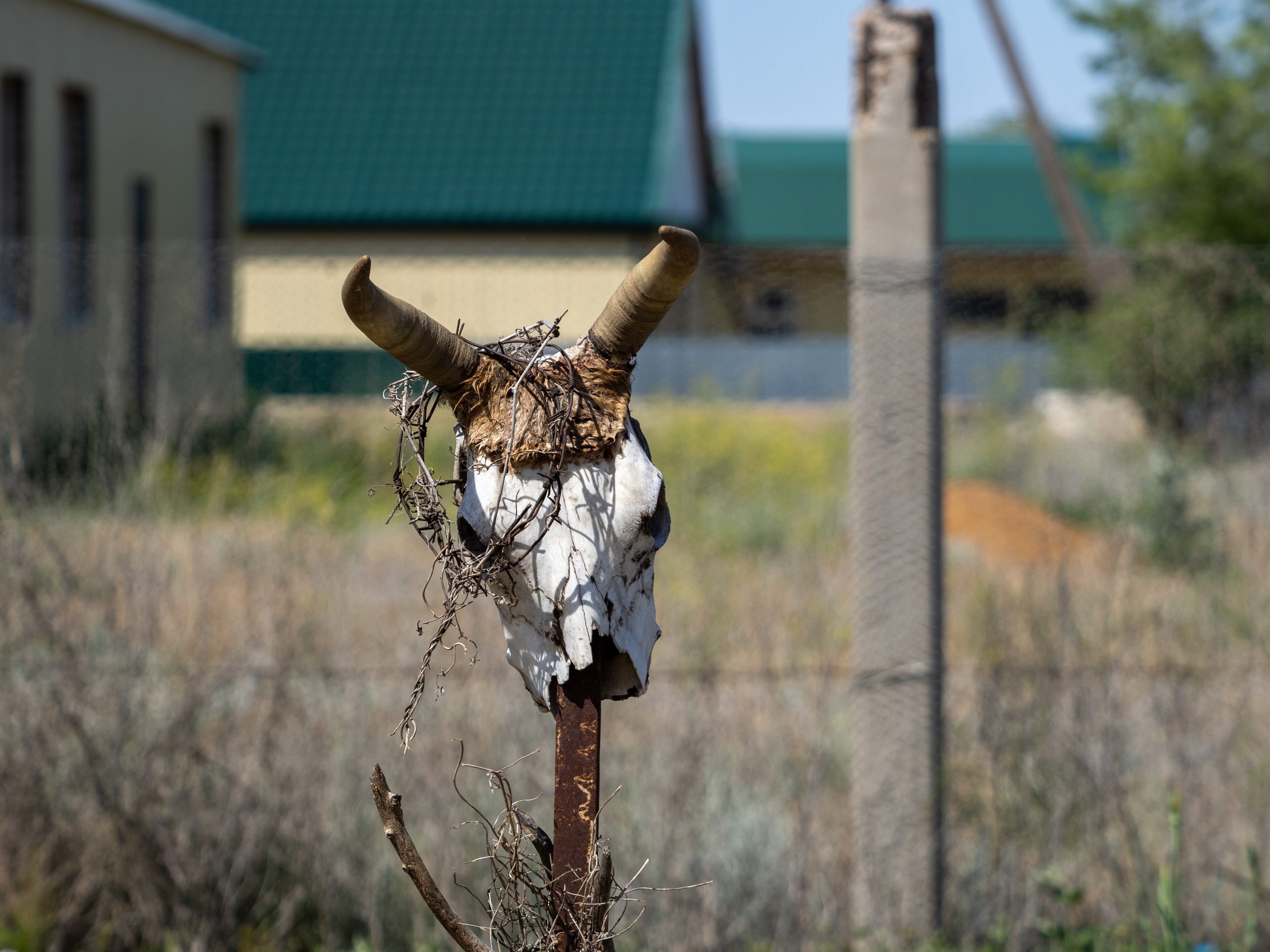 Эльтон 2022. Творческие сьемки