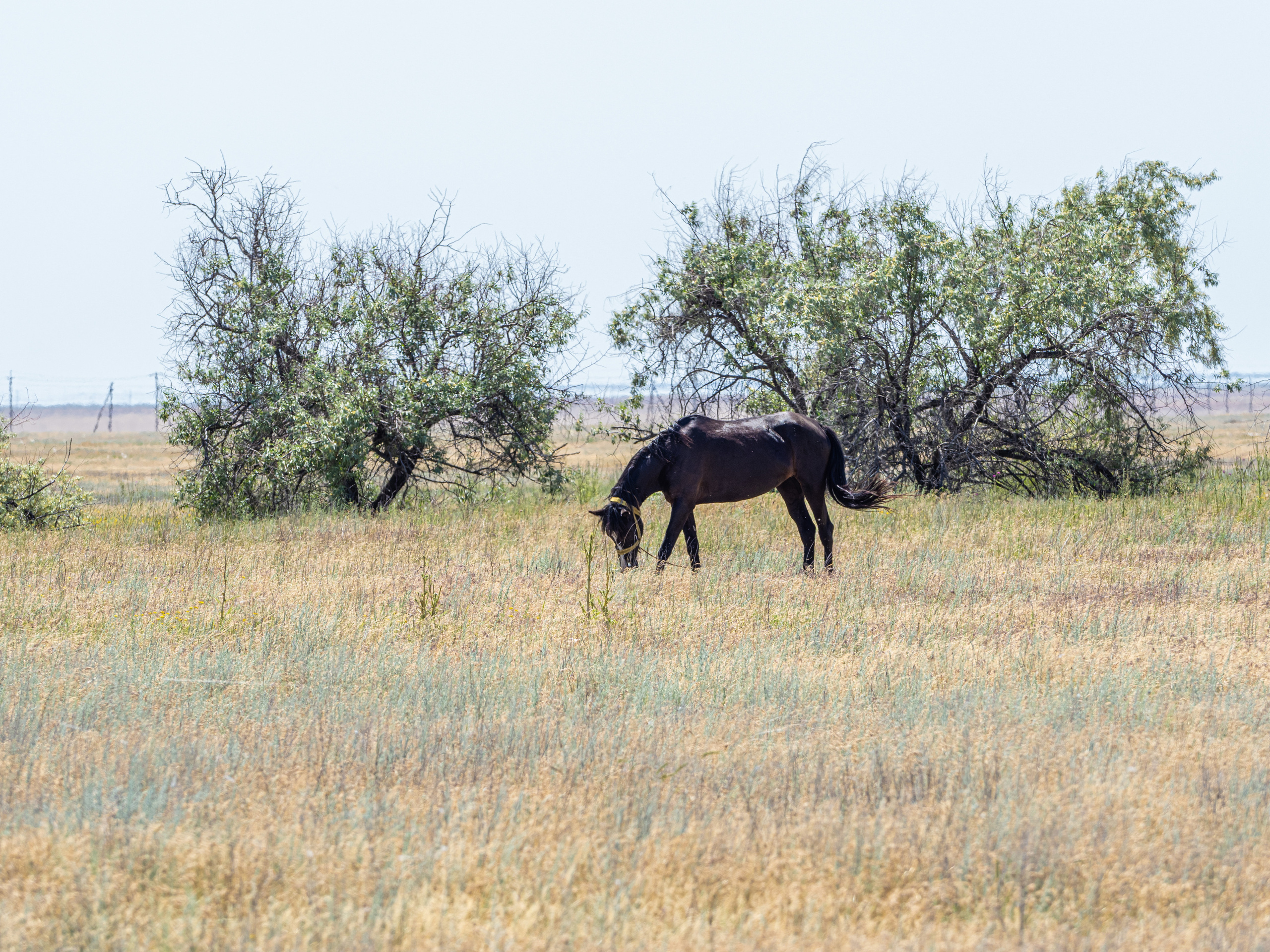 Эльтон 2022. Творческие сьемки