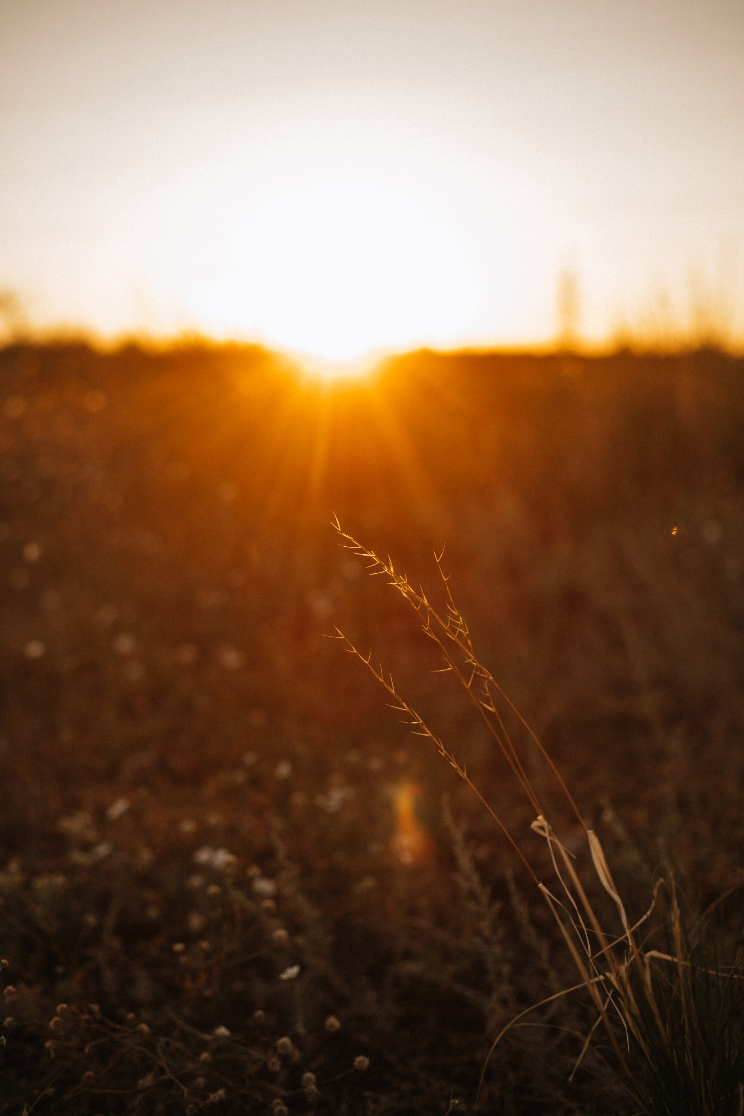 Марина, Юнир и Алина. Фотограф в Волгограде и Москве | Анастасия Лаврова