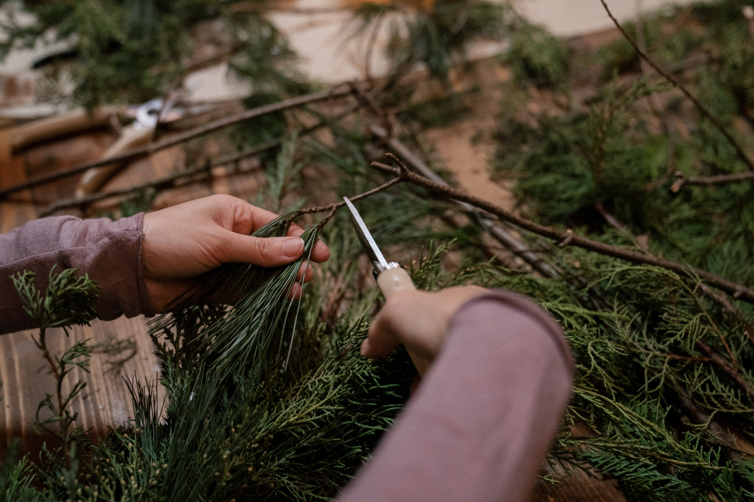 Veter Magazie — первый lifestyle журнал в России