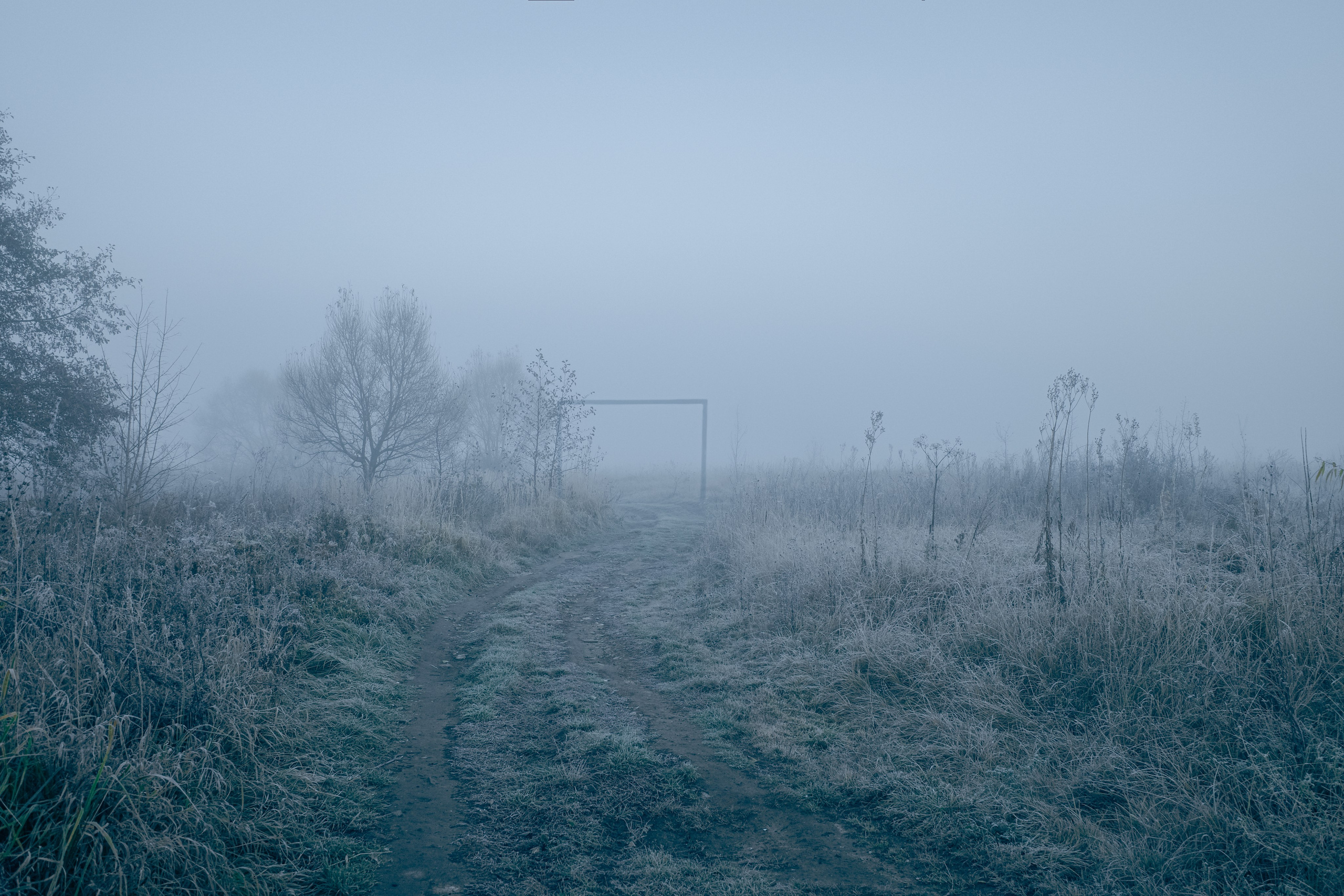 О границах реального. Междисциплинарный художник Екатерина Старовойтова