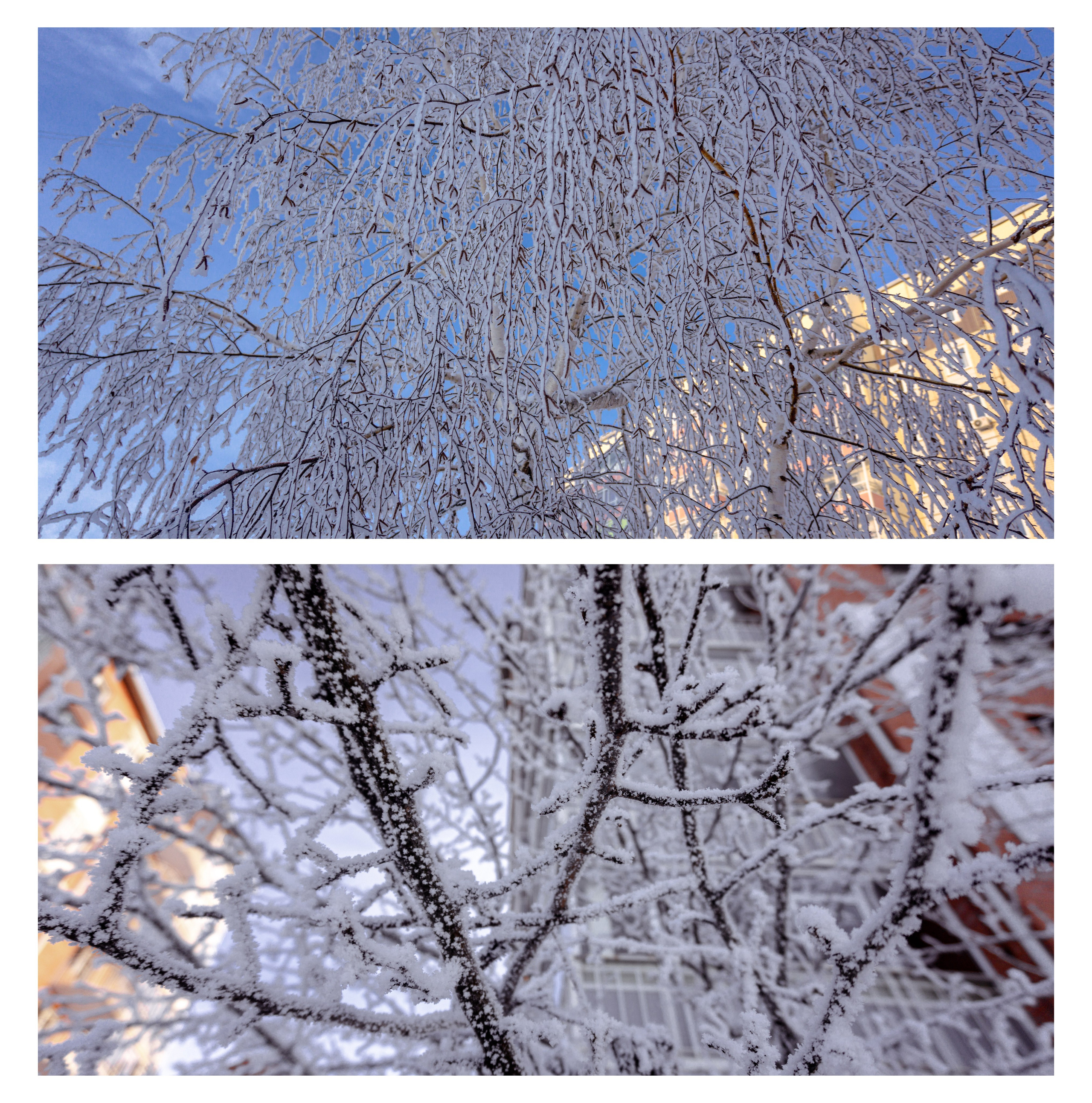 30.12.2025 | Сосновоборс. Kuznetsov | Фотограф в Красноярске