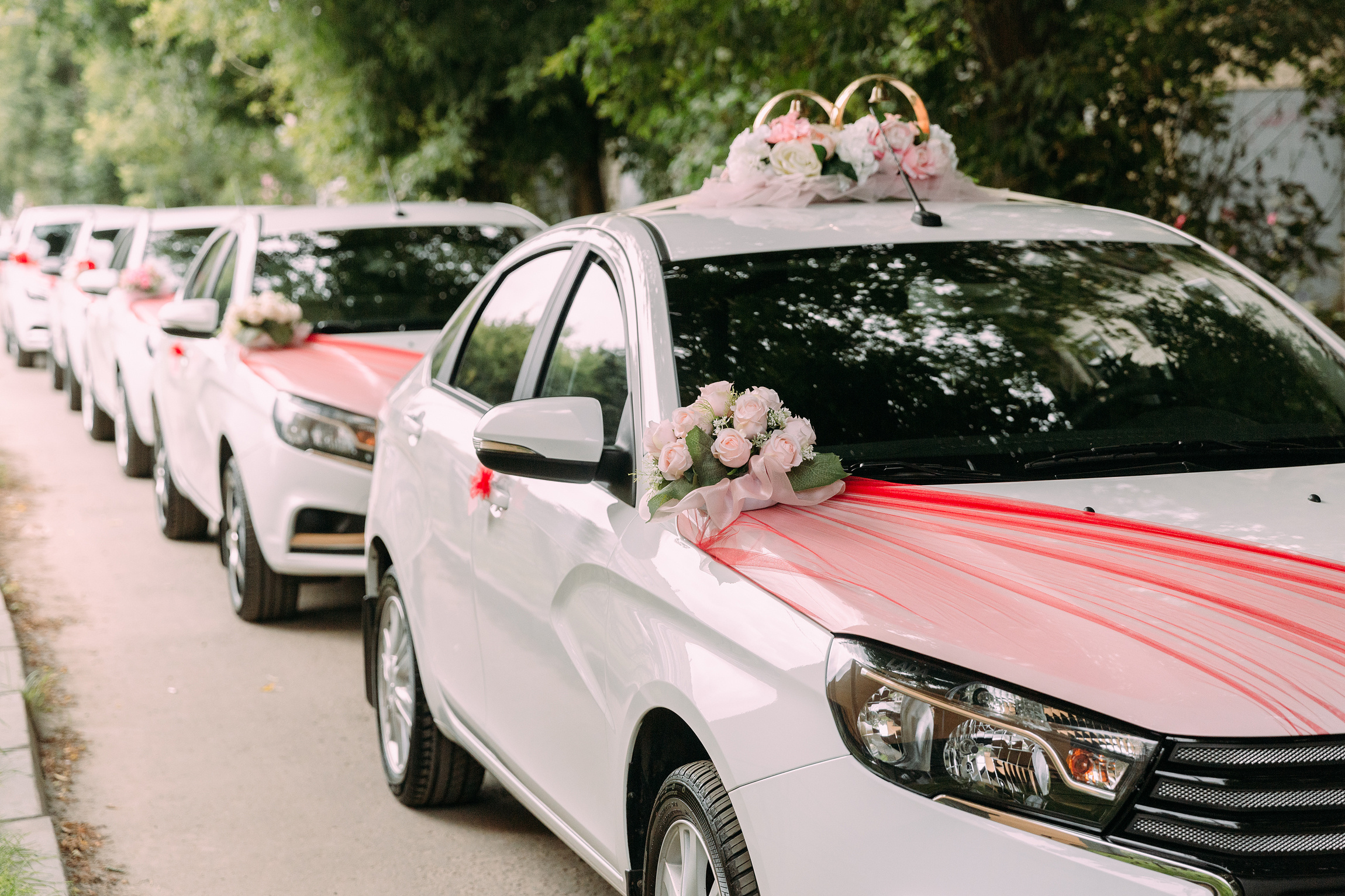 Фотограф Анна Руданова. Свадьба Артема и Гали