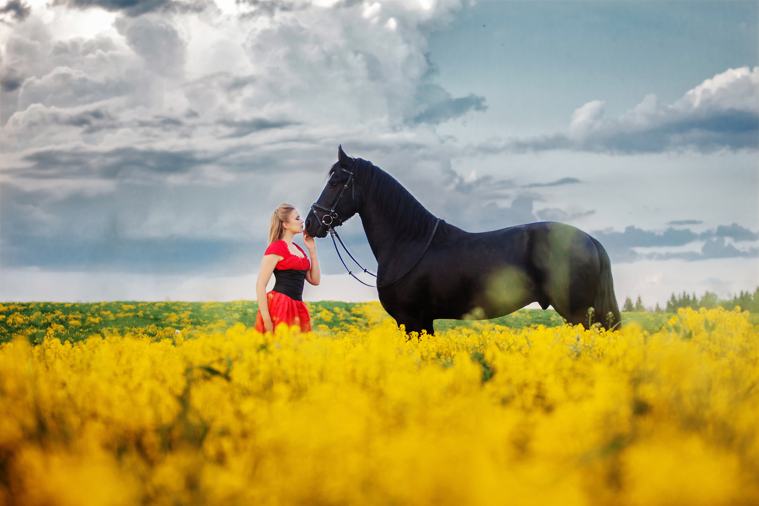 Фотосессии с лошадьми. Фотограф Ирина Богатырева