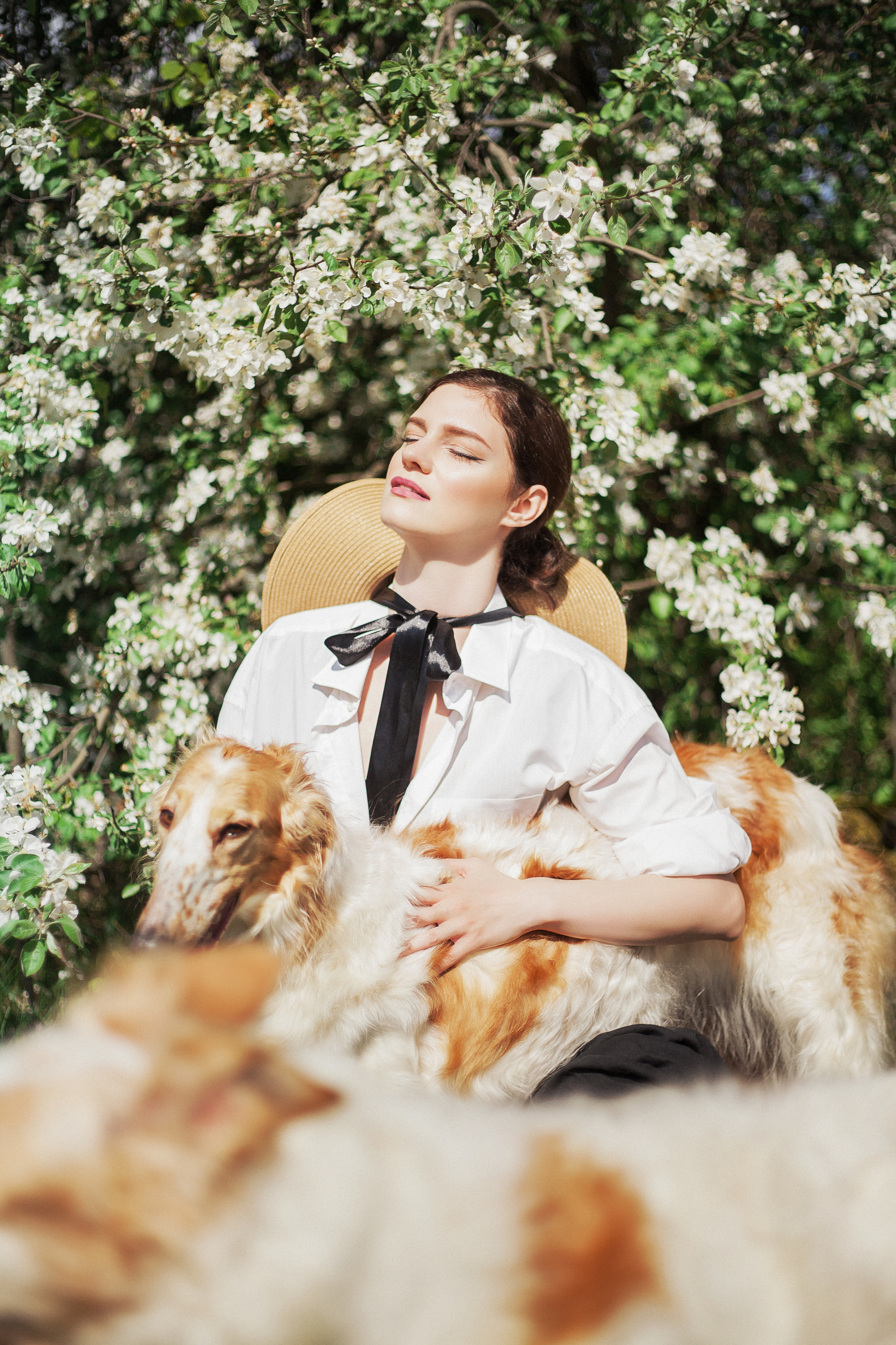 Фотосессии с животными. Фотограф Ирина Богатырева