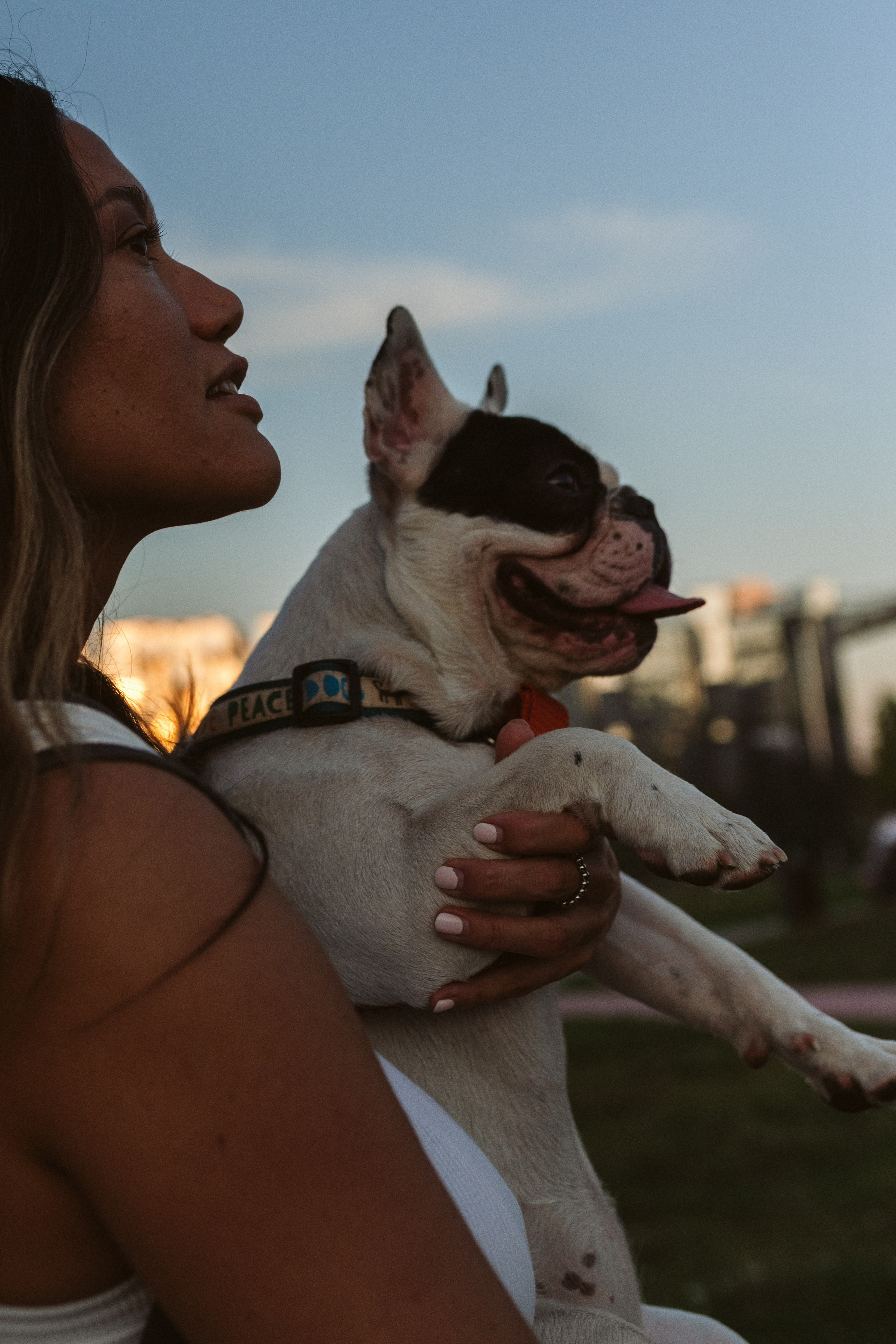Инна и Белль. Фотограф анималист в Москве Ольга Агушева