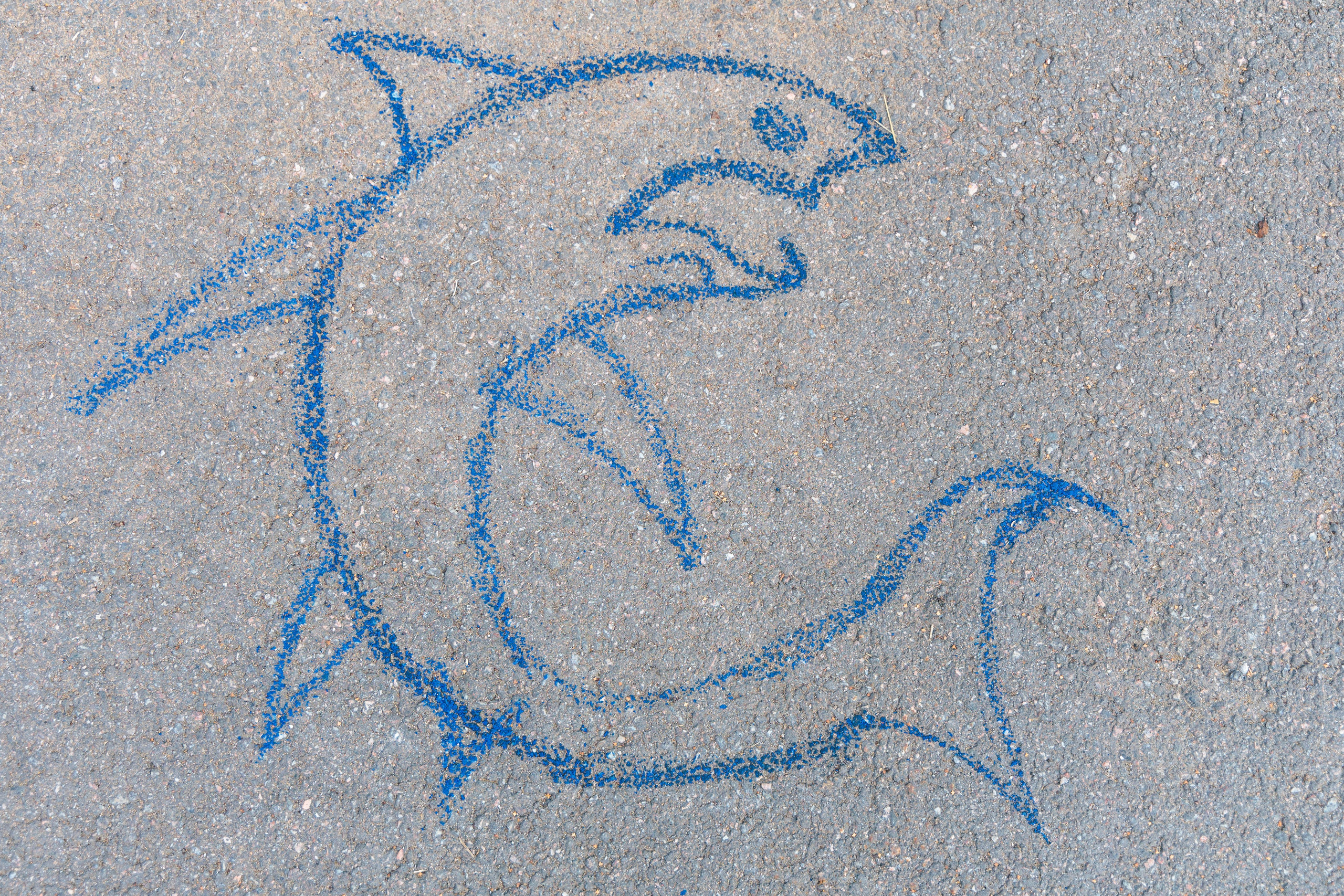 День ВМФ с мотоклубом 28.08.24. Репортажный фотограф Санкт-Петербург | Роман Карбышев