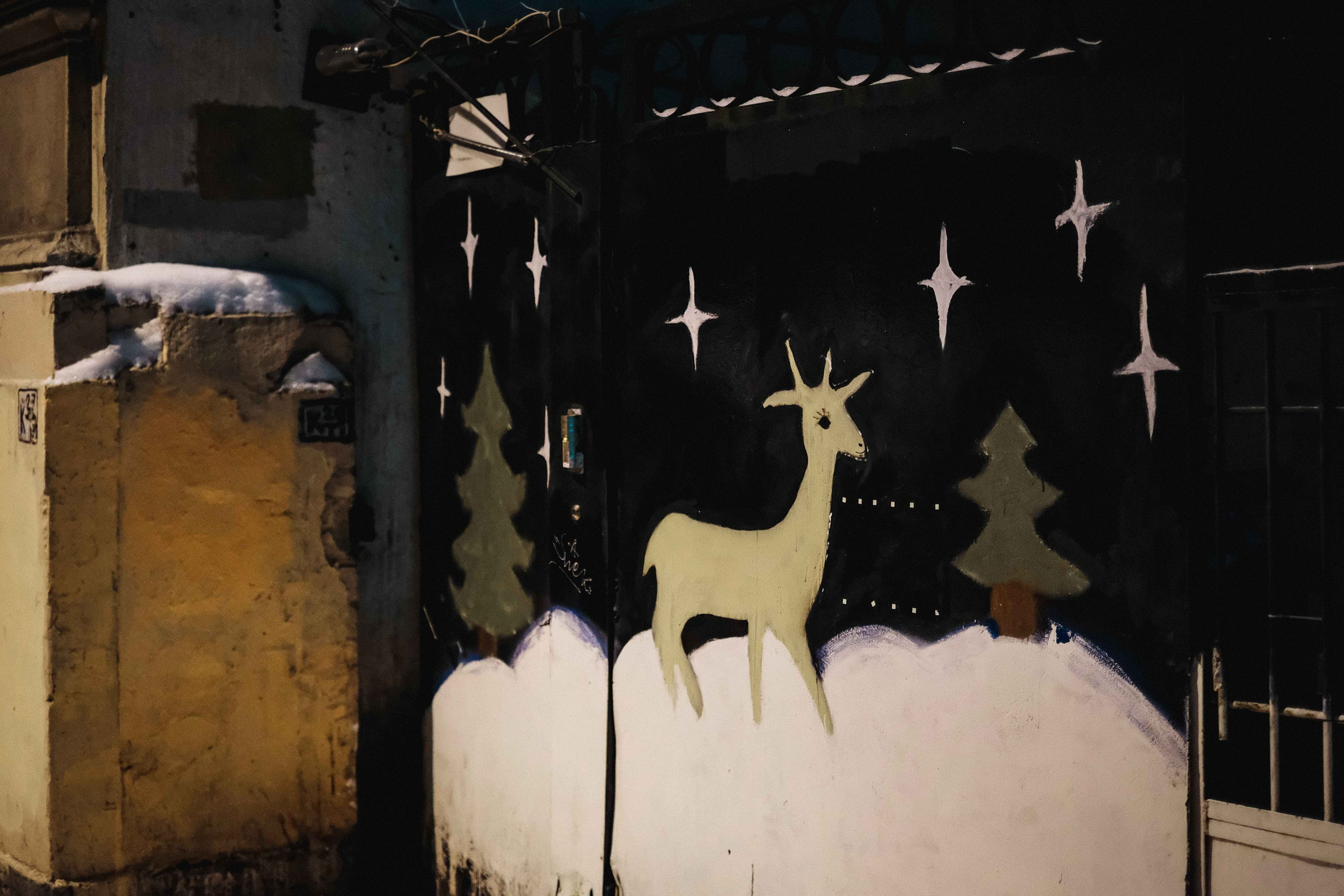 2021.12. Фотограф Алексей Алексеев