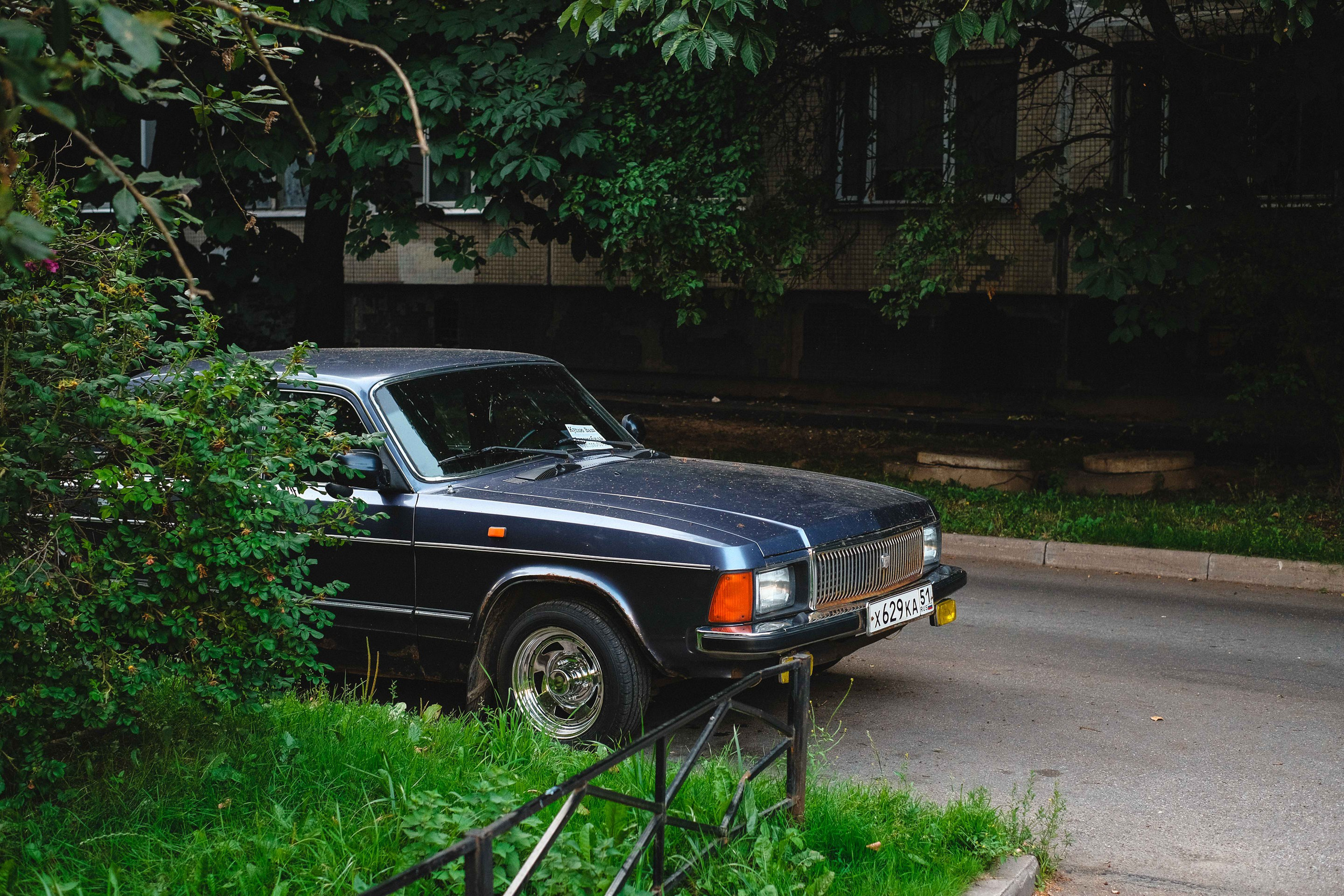 2022.07. Фотограф Алексей Алексеев