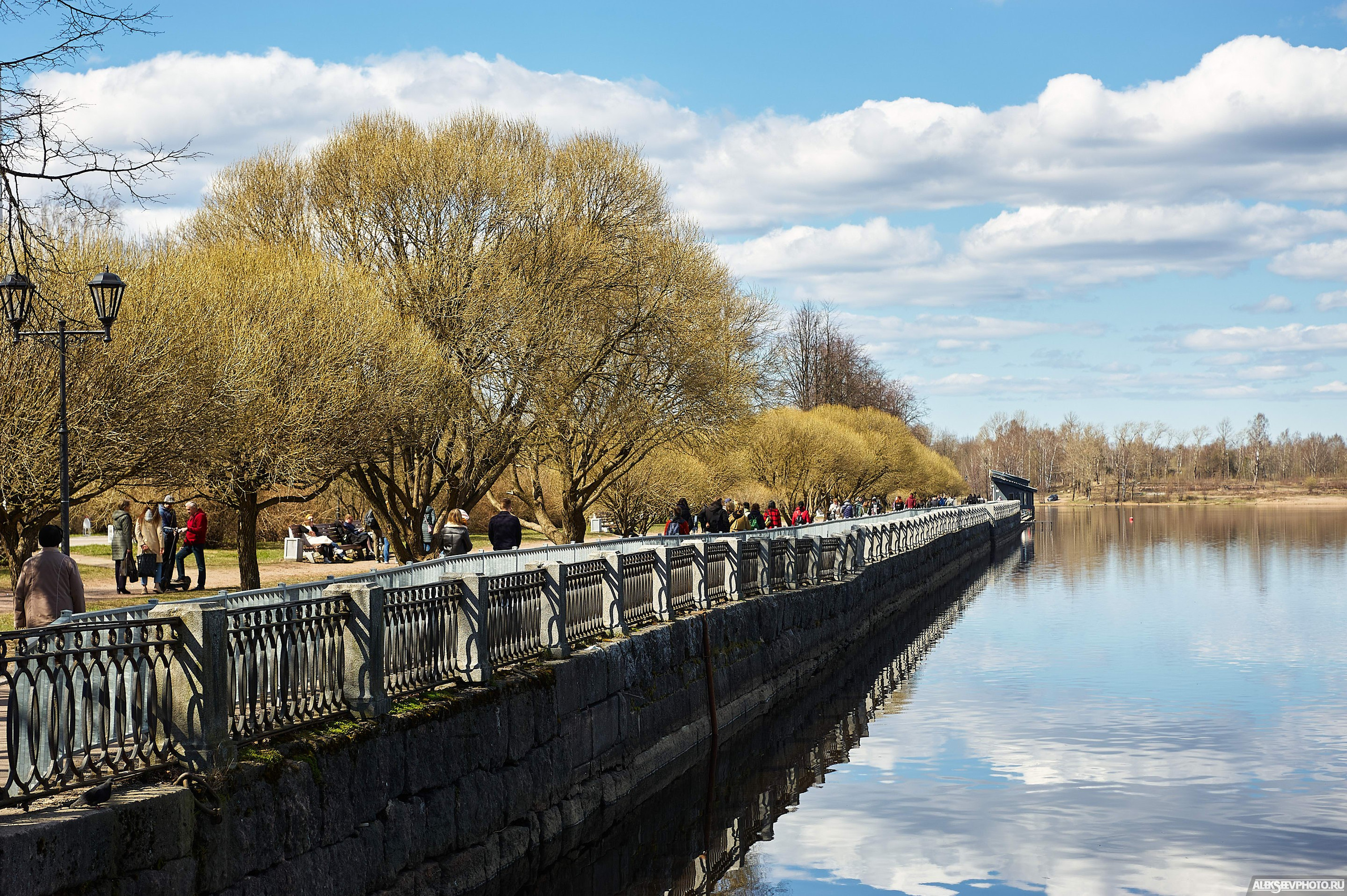 2021.05. Фотограф Алексей Алексеев
