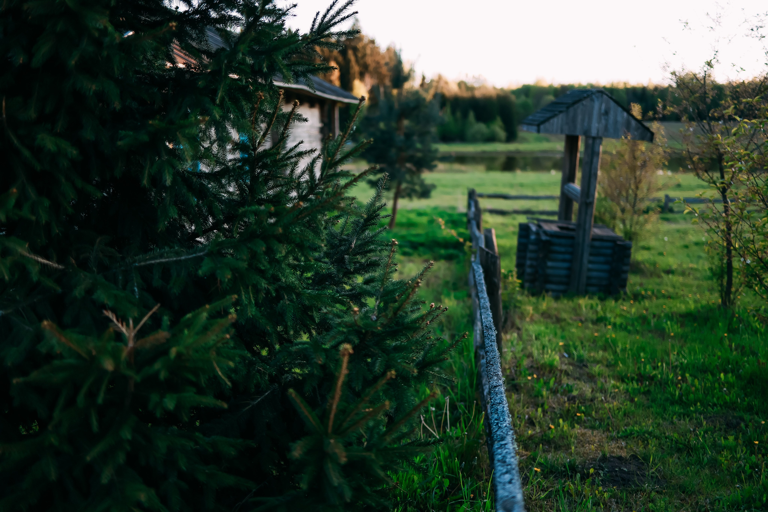 Белые Луга. Детский и семейный фотограф Малых Ольга г. Салехард