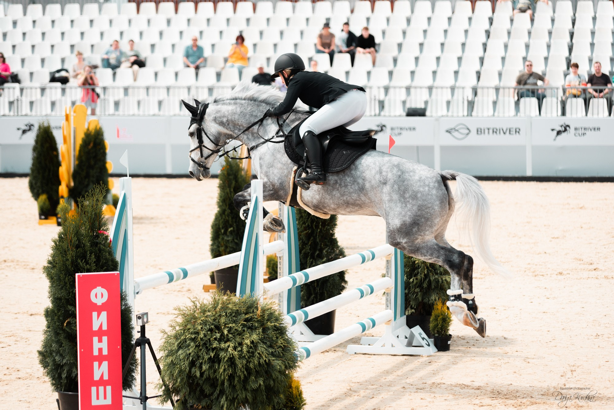 BITRIVER CUP 2023. Конный фотограф Куракина Дарья • Фотосессии с лошадьми