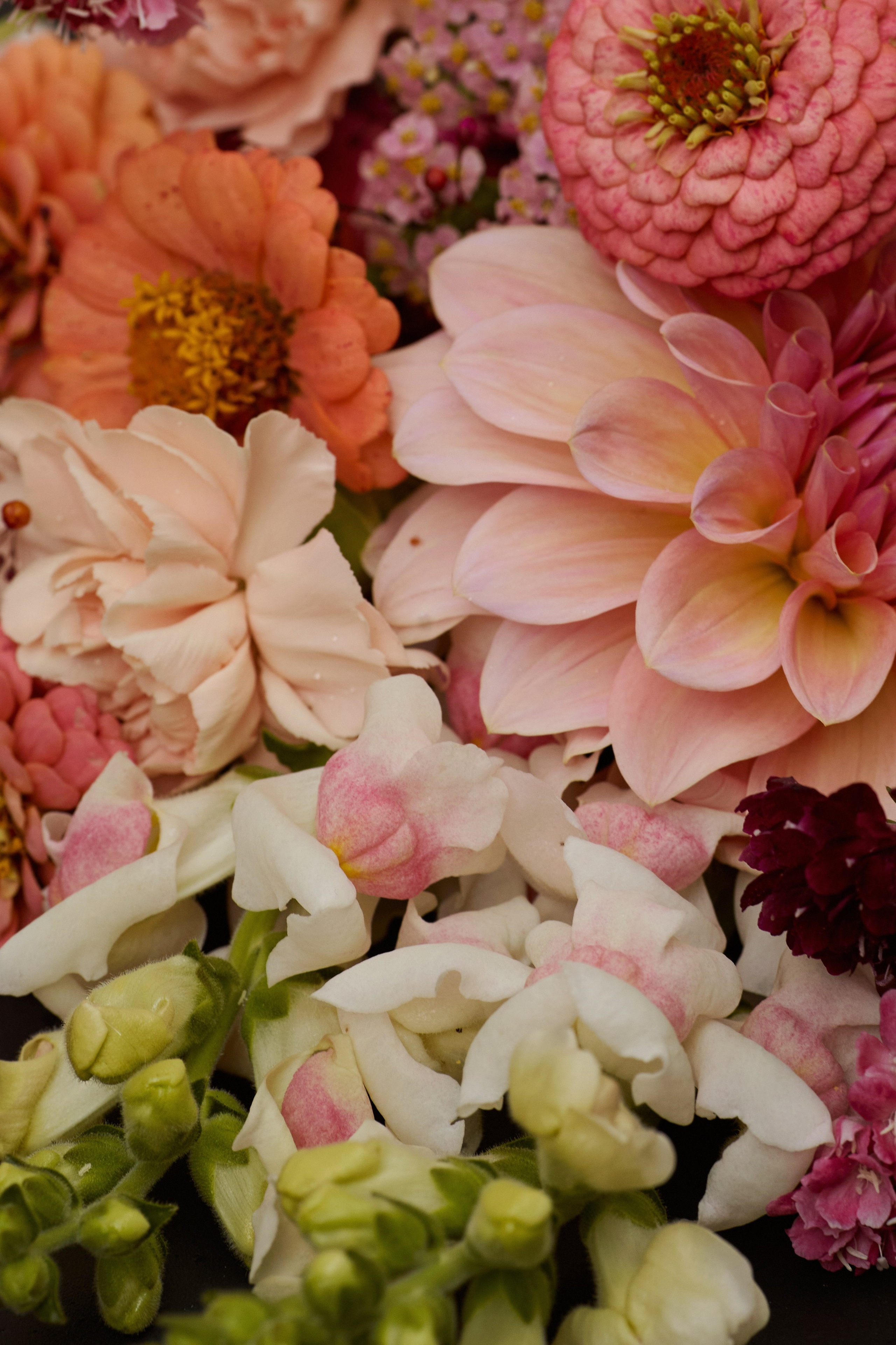 Дима и Катя. Juliashtondic. photo