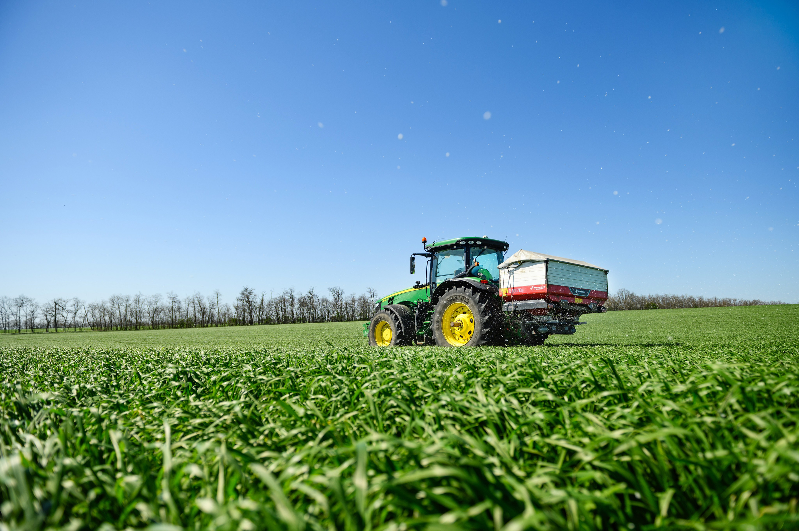 Проекты. Профессиональный фотограф Вячеслав Плацында | Липецк |