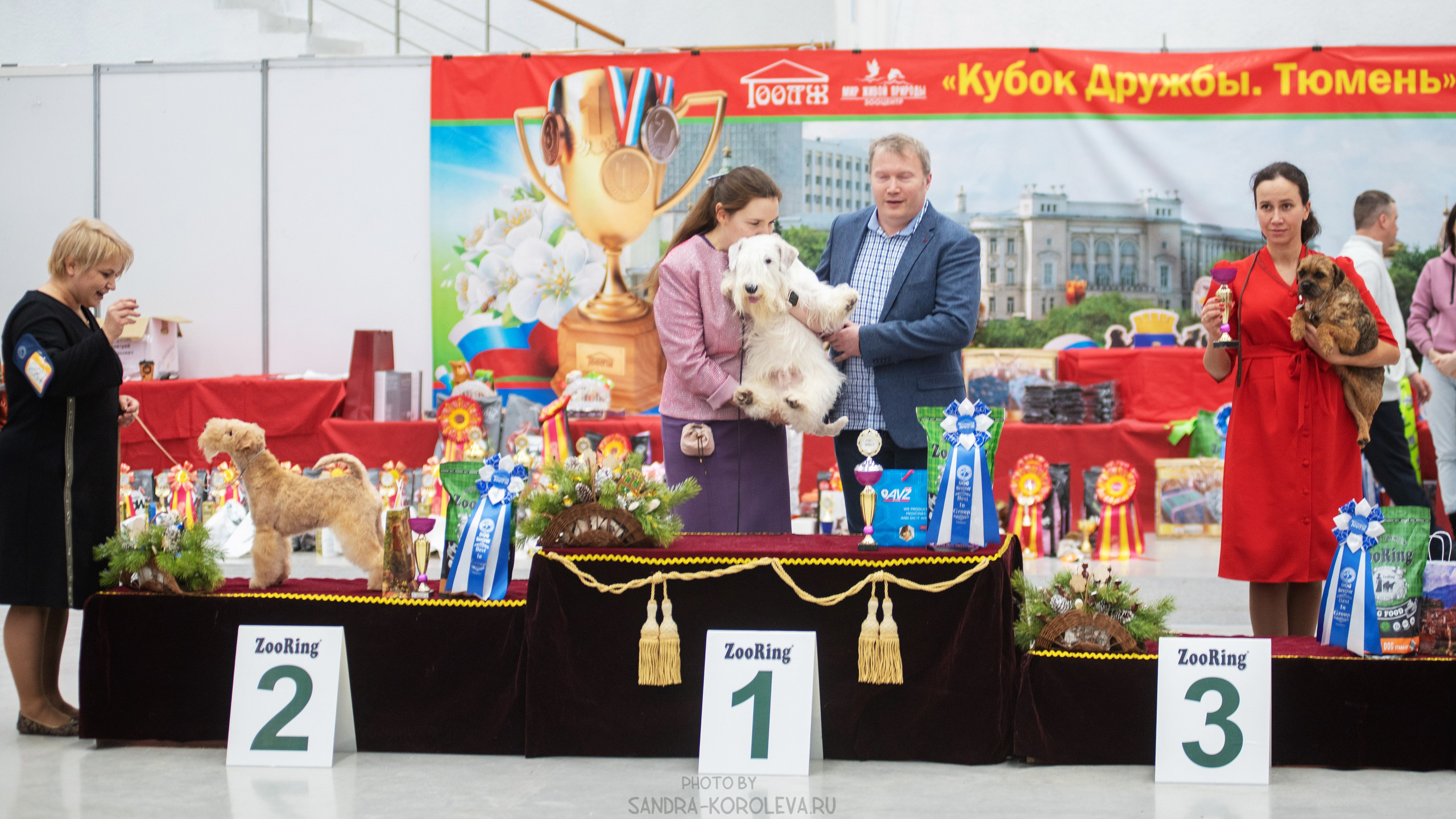 Выставка собак тюмень 14.01.2023. Дог-фотограф в Тюмени Александра Королева