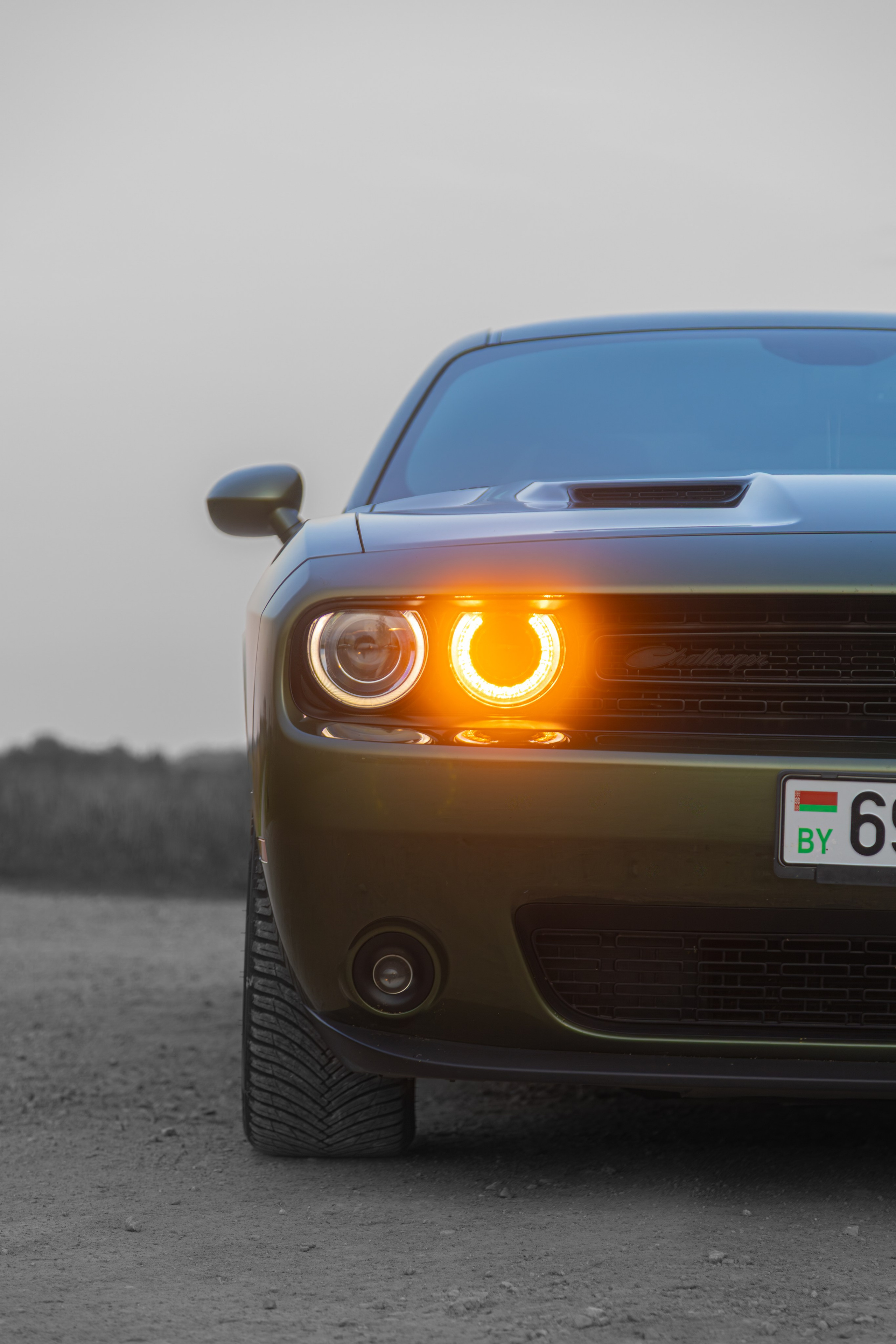 Partner Rent — Dodge Challenger. — Digital Noise —