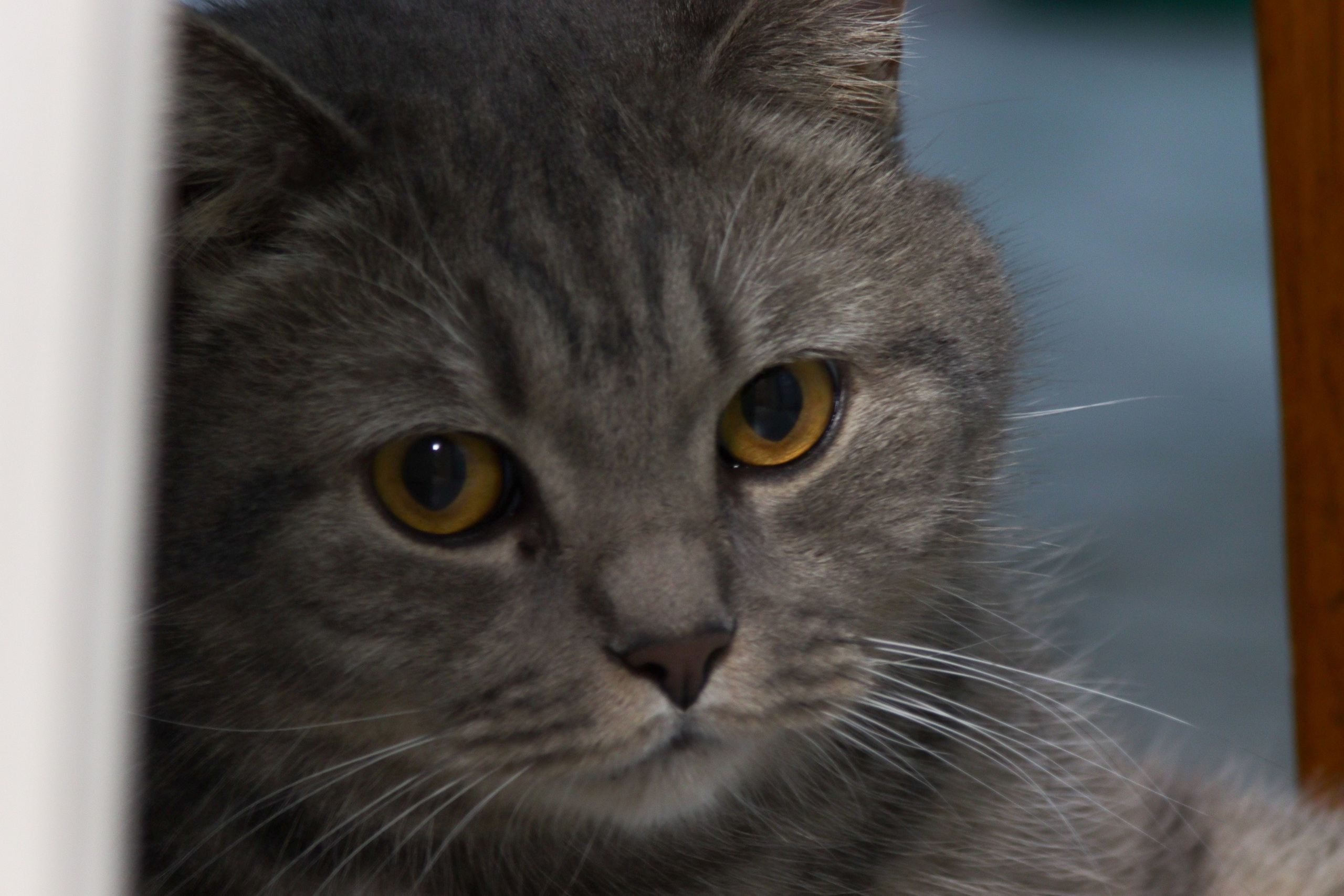 М А Р Т И Н. — Digital Noise —