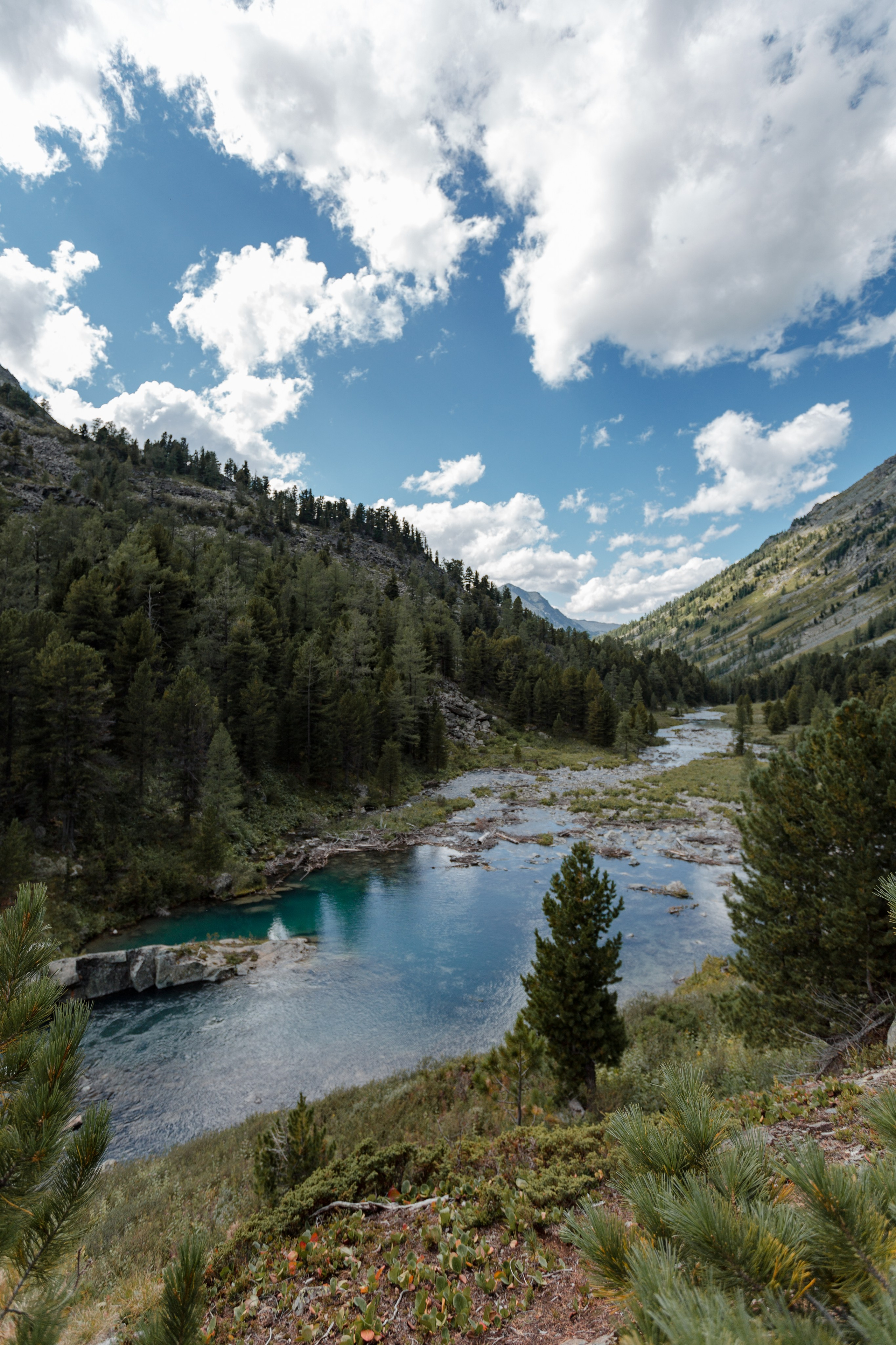 Катунский заповедник, Республика Алтай. Репортажный фотограф в Крыму Ксения Гасица