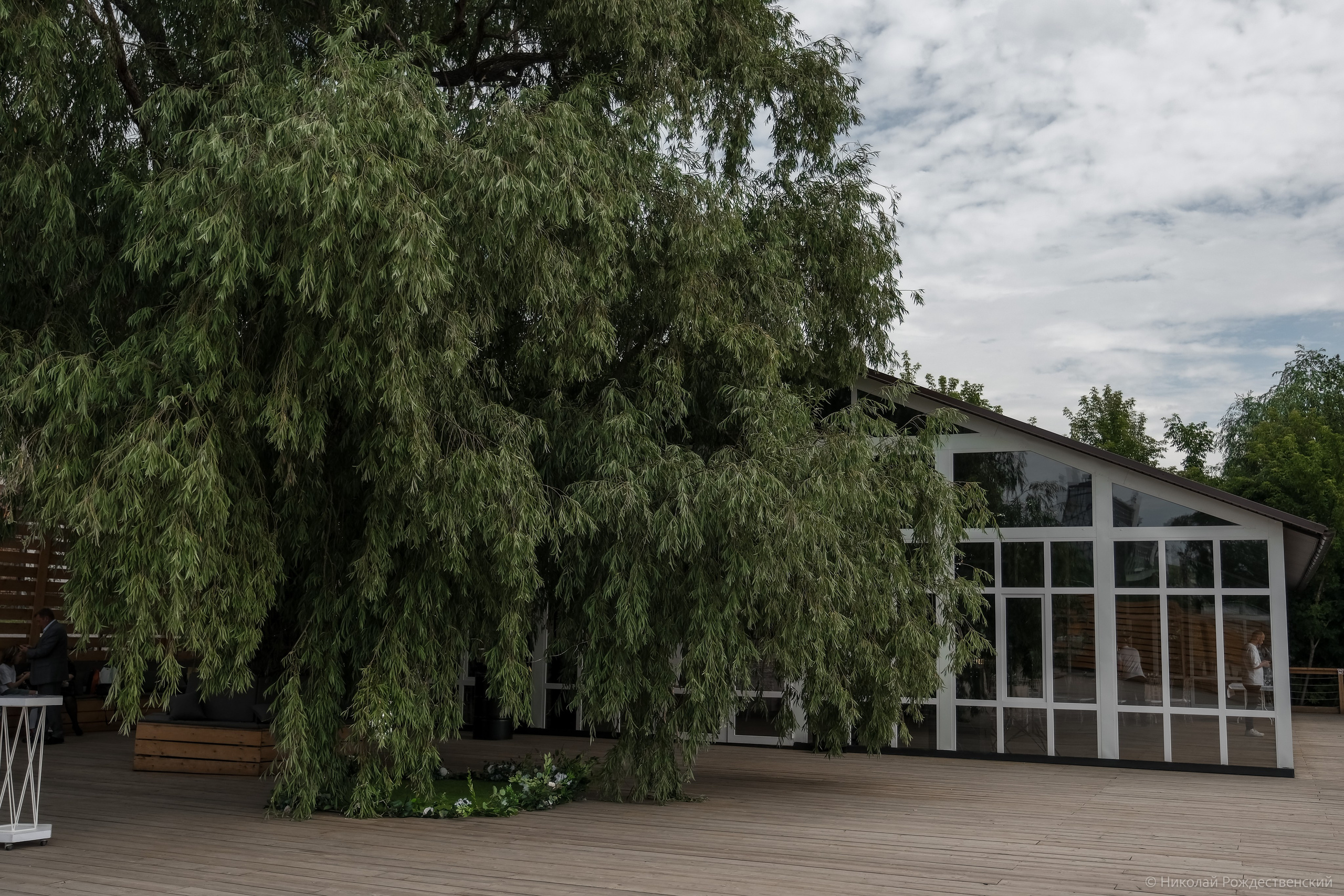 Андрей и Юлия. Профессиональный фотограф Николай Рождественский. Москва, Омск, Тюмень