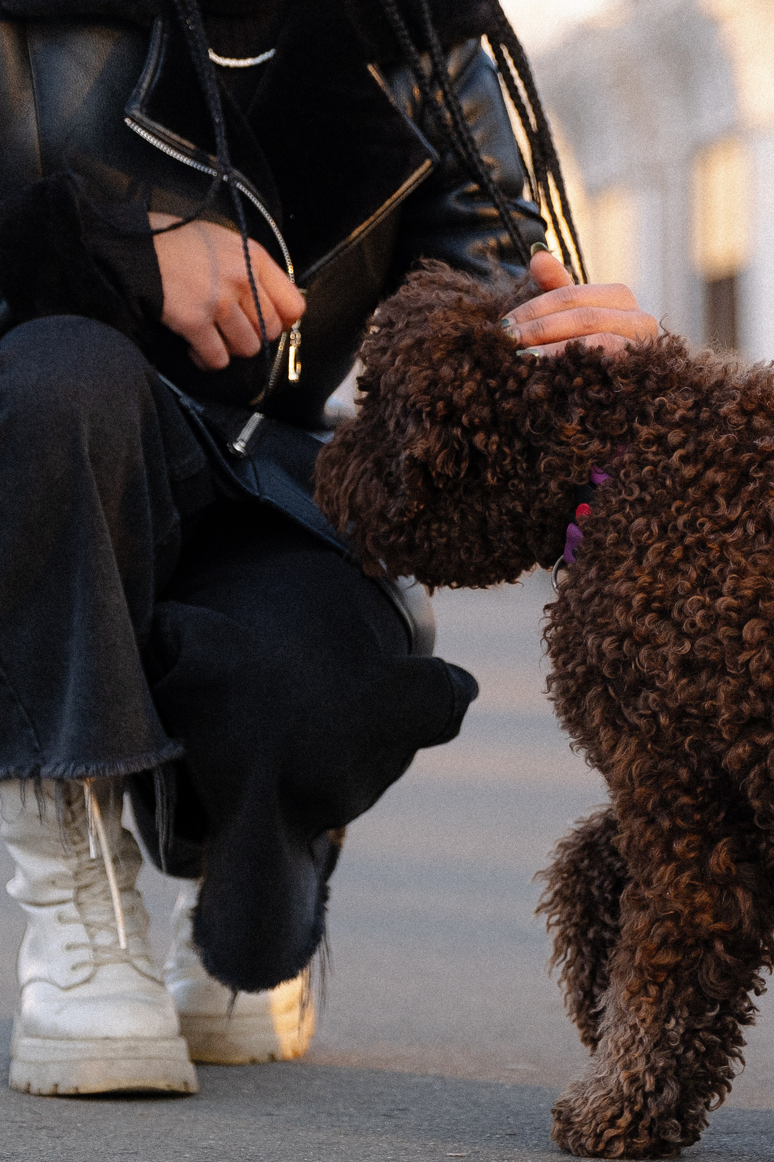 Тьеринна и Миша. Фотограф и видеограф анималист Аганина Дарья