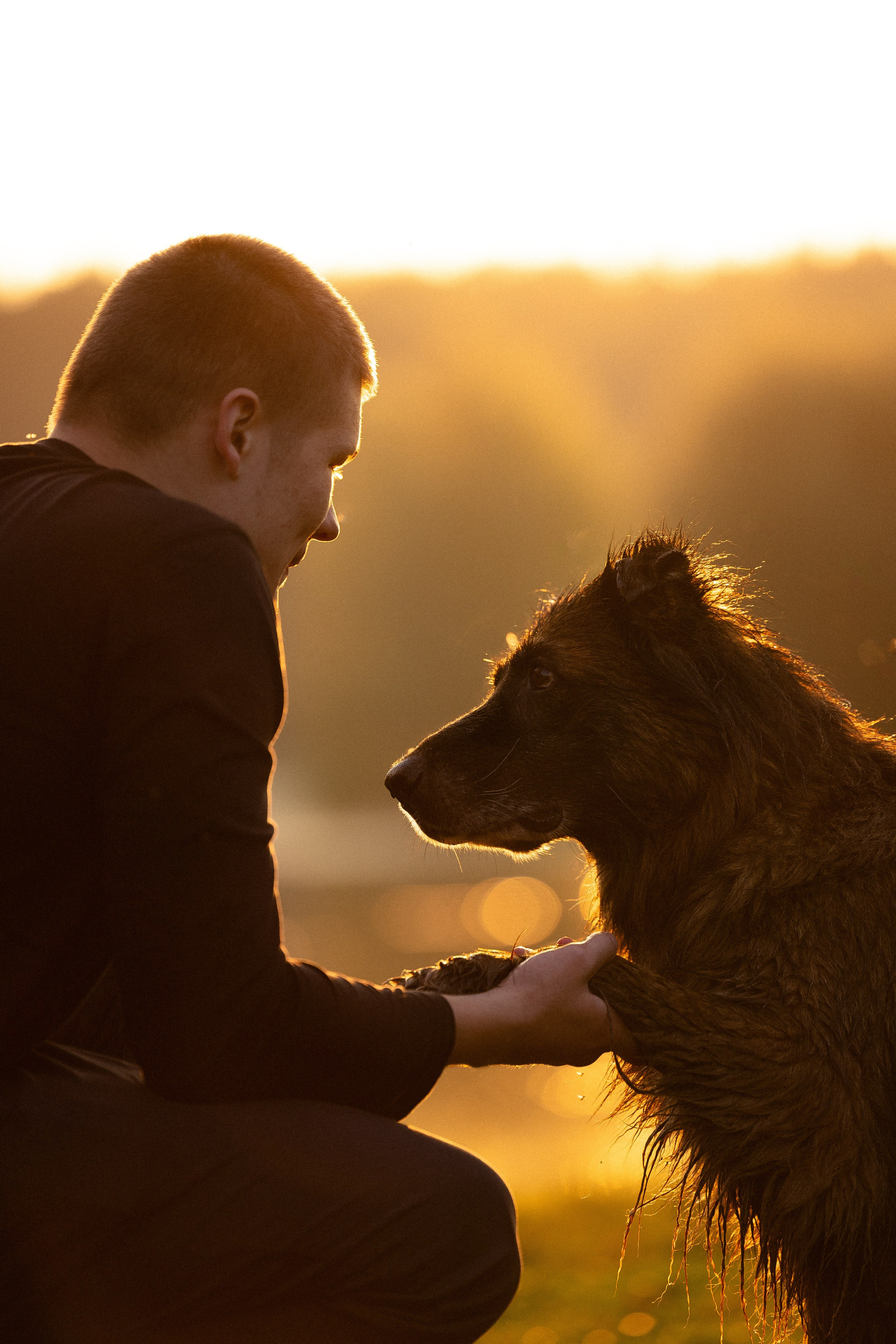 Алена, Матвей, Фанни и Фрея. Фотограф и видеограф анималист Аганина Дарья