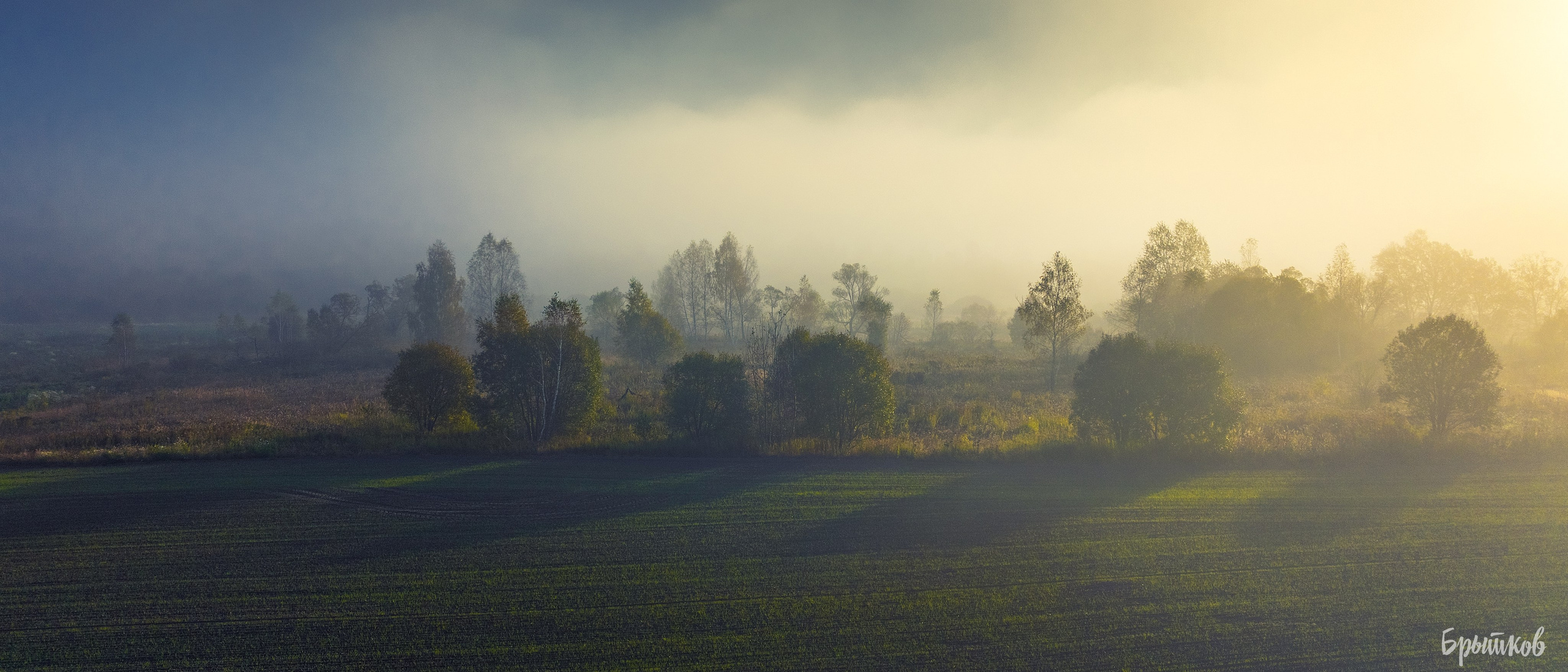 Бежин луг туман Брытков Николай